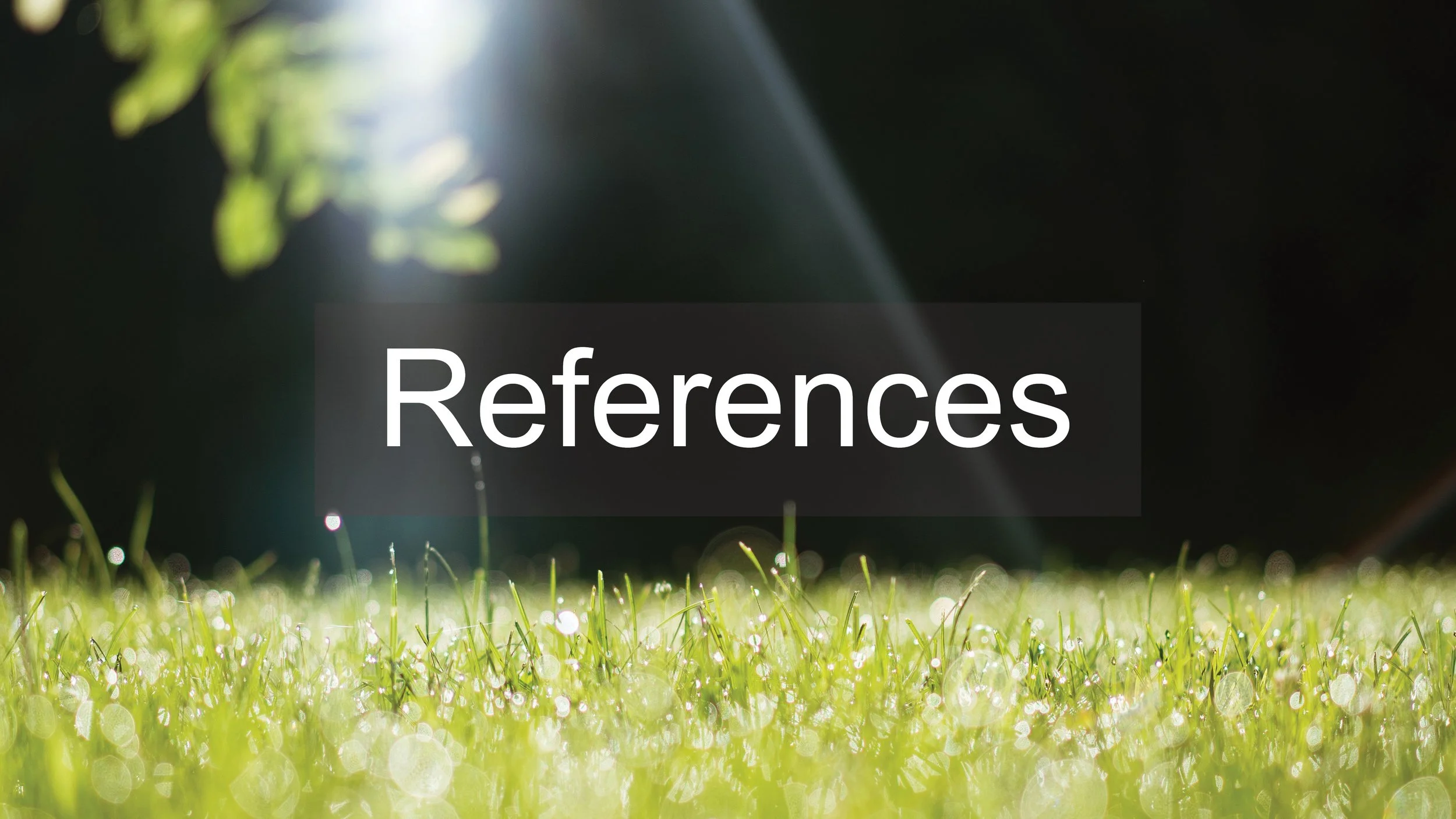 JV_Materials Research70.jpg