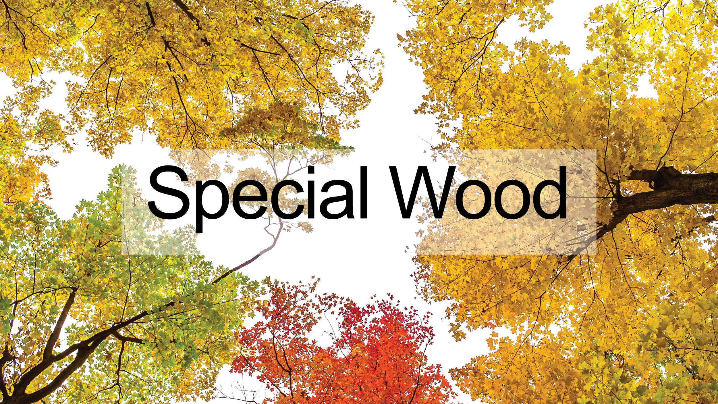 JV_Materials Research50.jpg