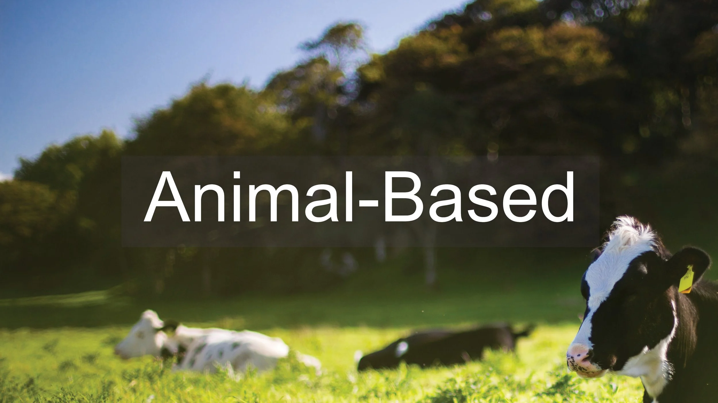 JV_Materials Research44.jpg