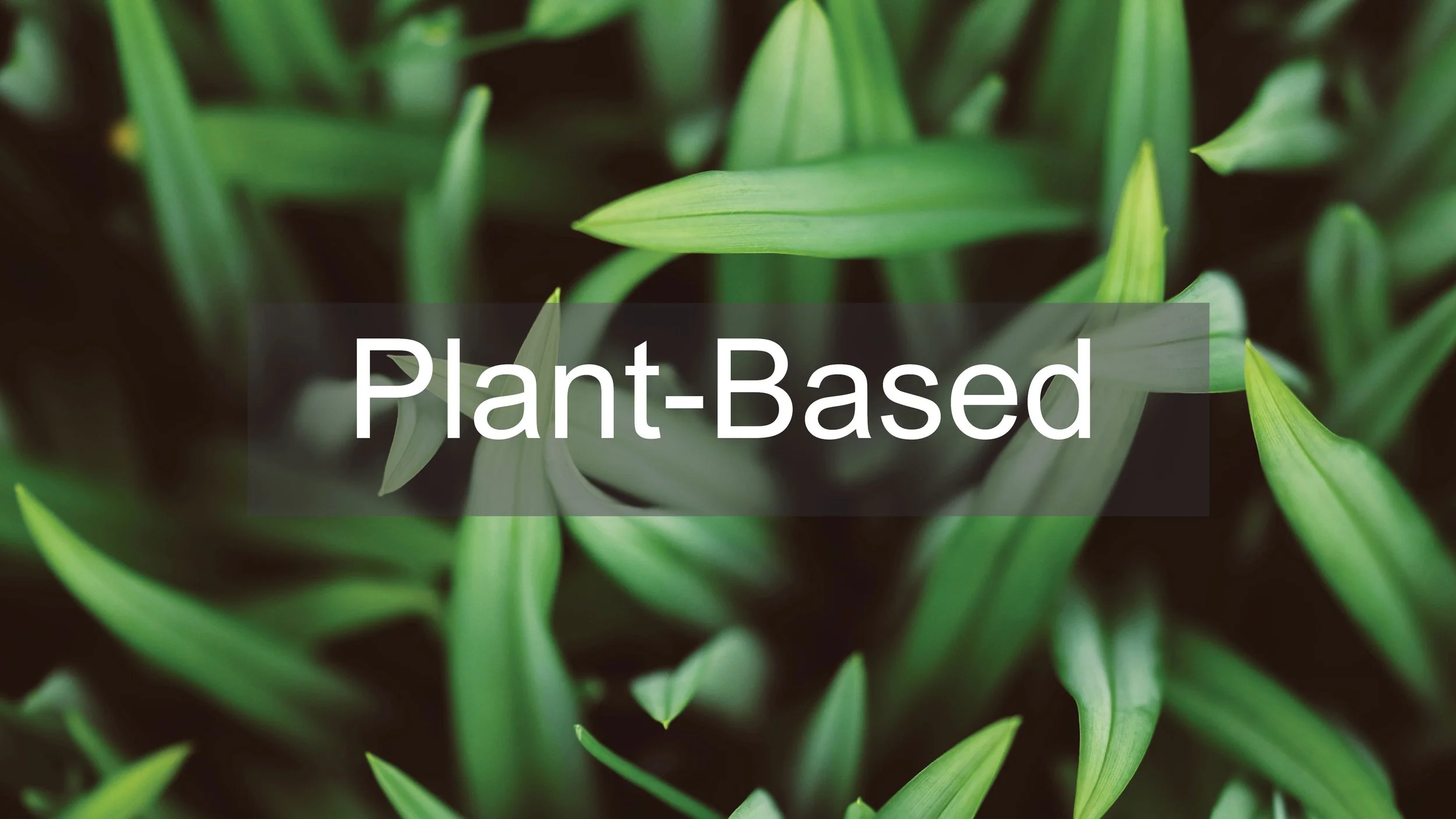 JV_Materials Research10.jpg