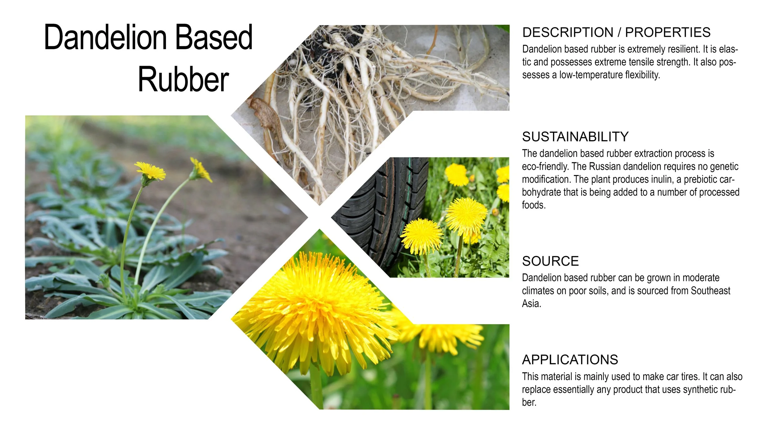 JV_Materials Research17.jpg