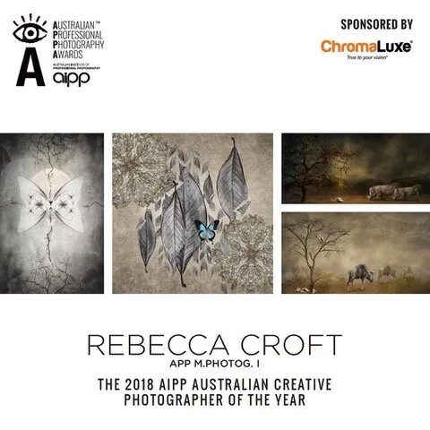 Creative Photographer.jpeg