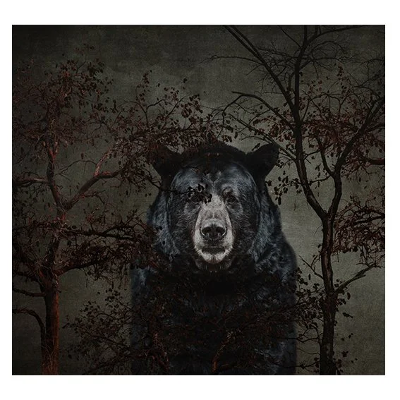THE BEARS WATCHWB.jpg