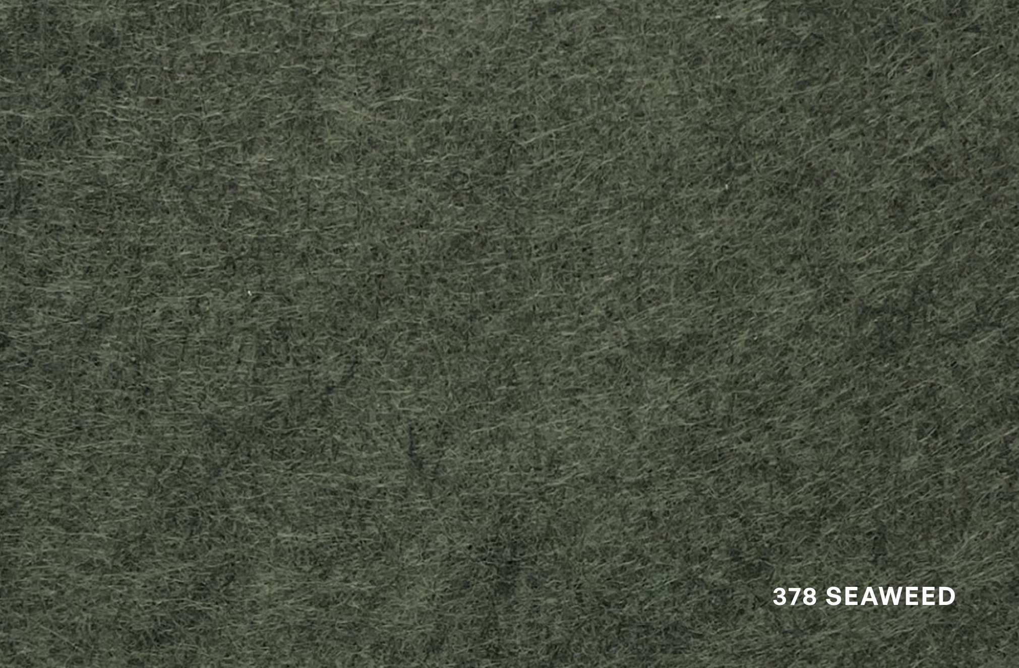 Echo Panel Colour Swatch Labelled_378 Seaweed.png