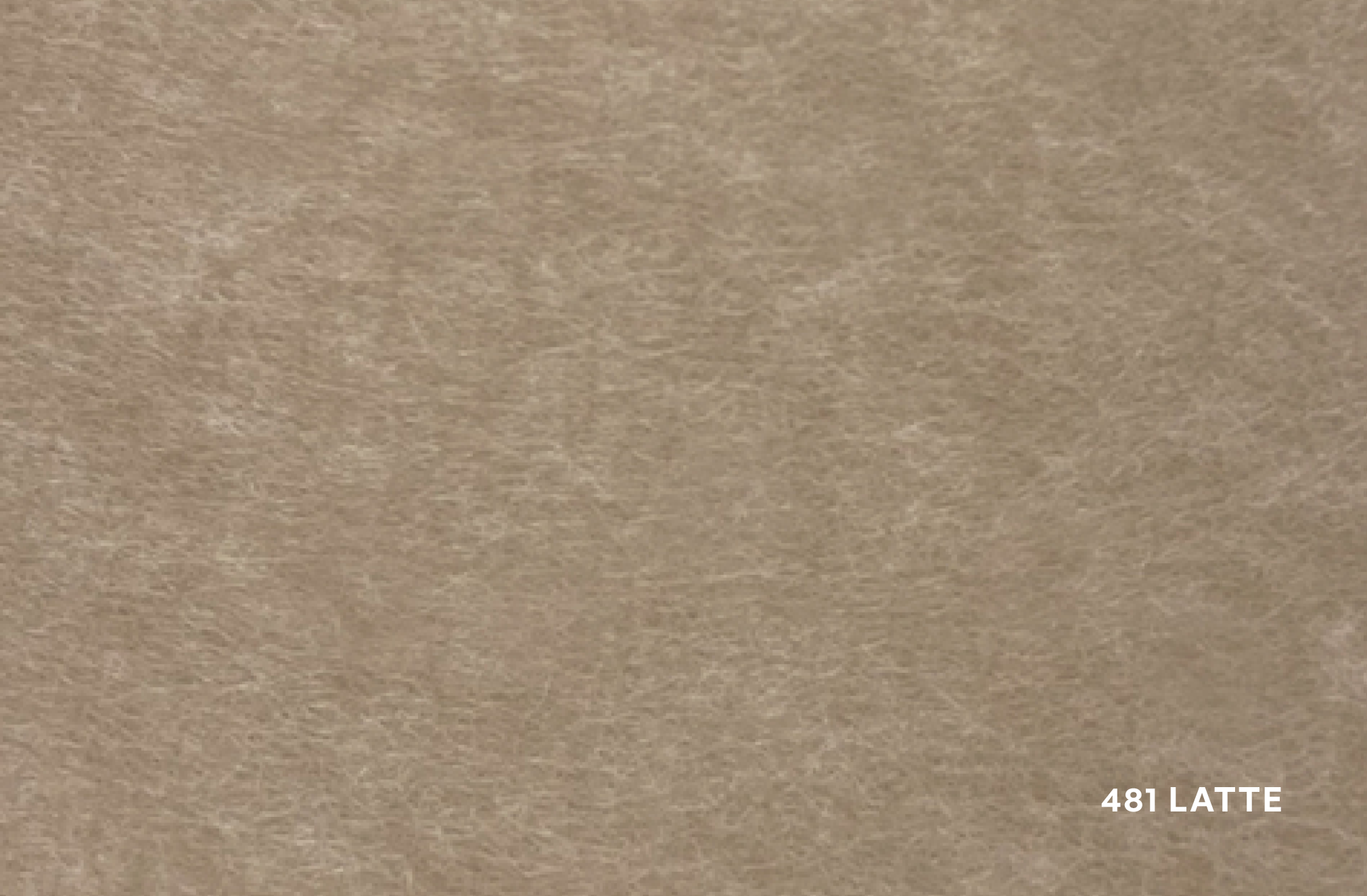 Echo Panel Colour Swatch Labelled_481 Latte.png