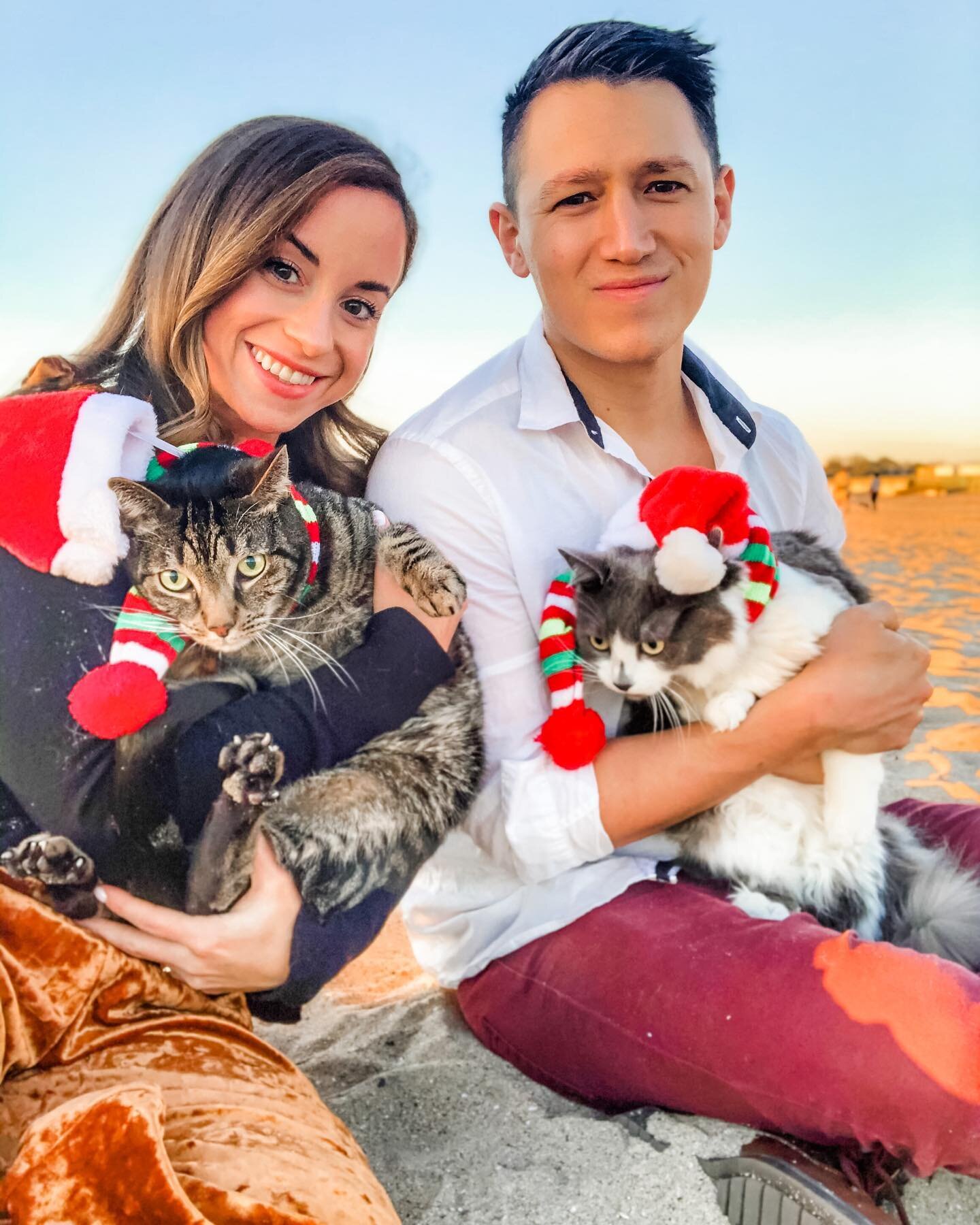 Merry Christmas ya filthy animals! 🎅 

#familyphotos #christmasportraits #catsofinstagram #beachkitties #californiachristmas #christmas2020