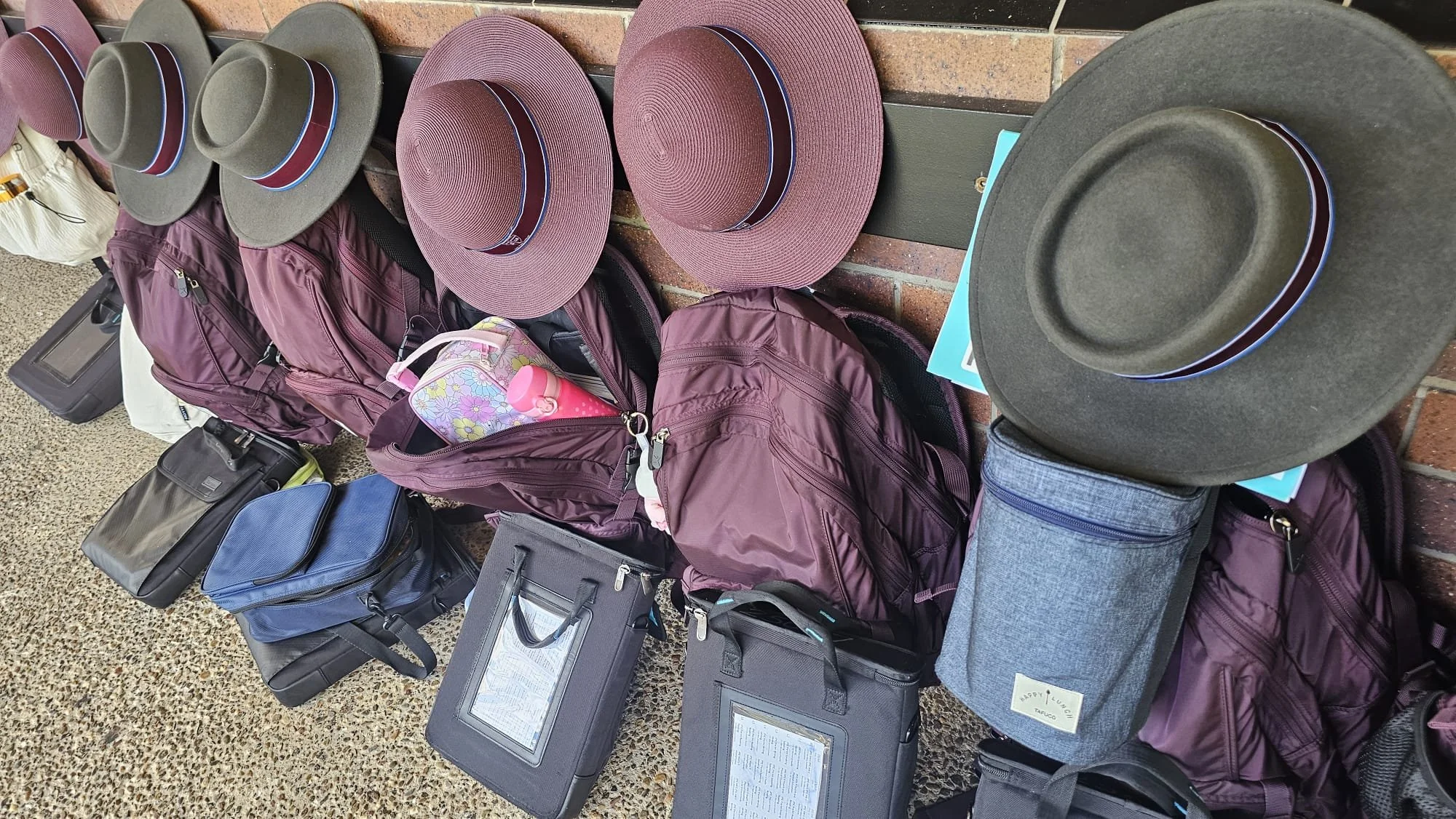WhatsApp Image 2026-08-04 at 4.28.51 PM (1).jpeg