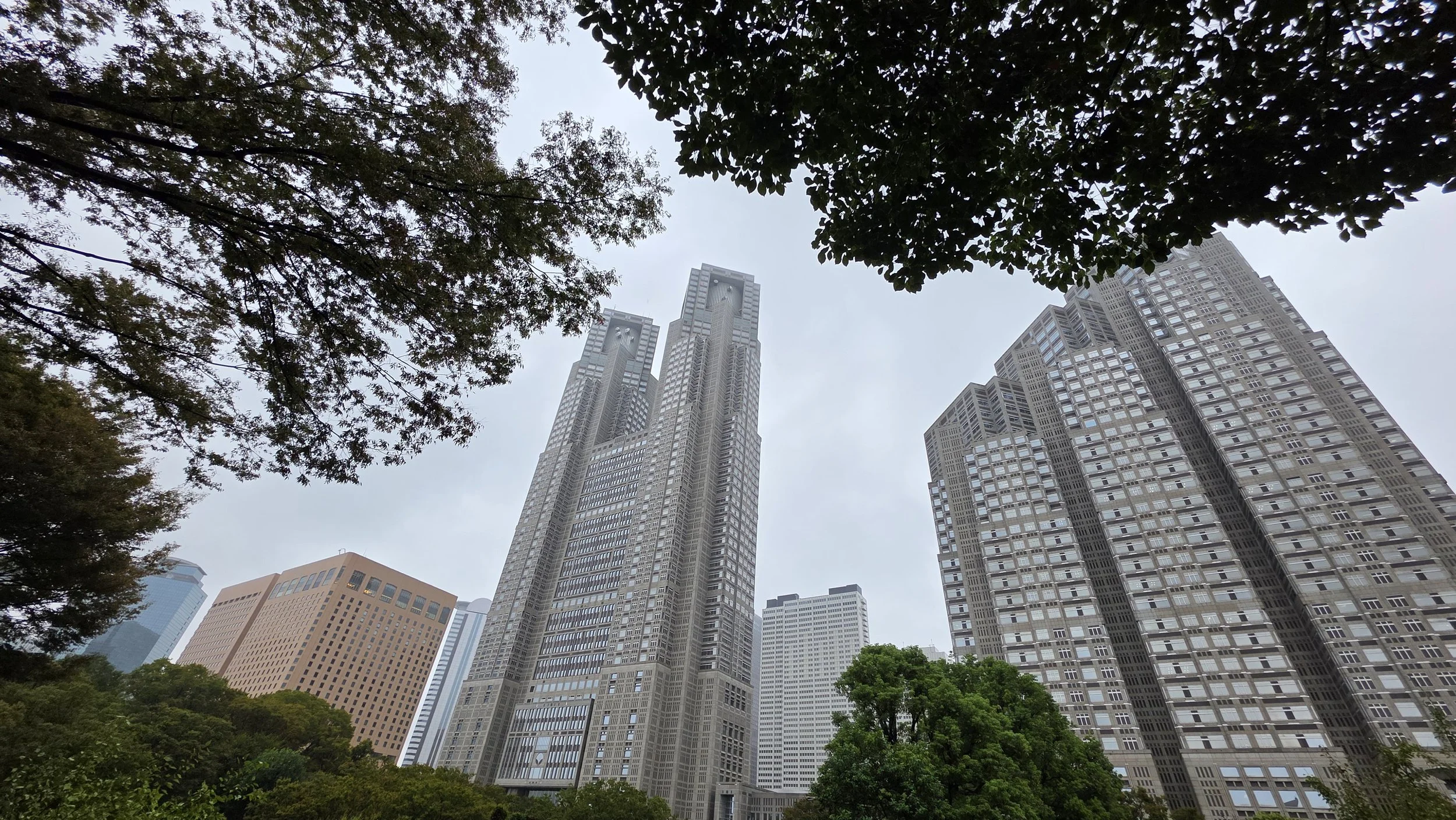 20260929_114731.jpg