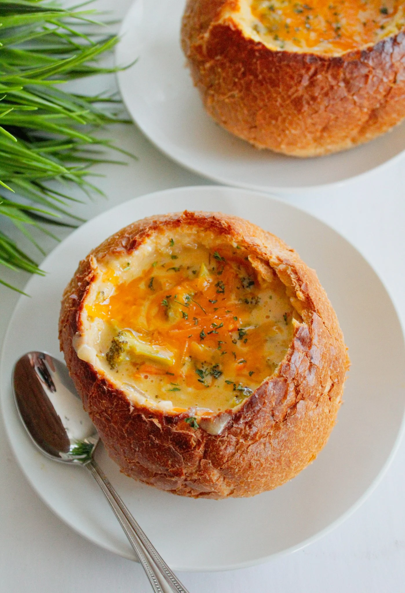 Broccoli Cheddar Soup