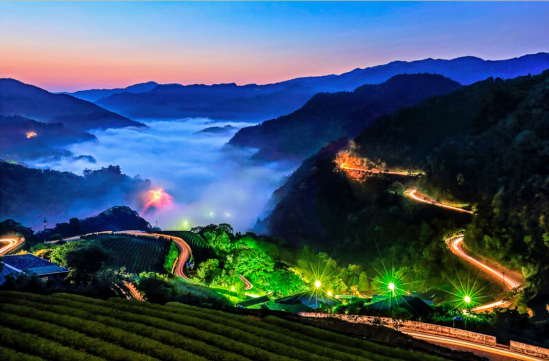 China_Ping Lin region Bao Chung tea_IMG_6272.jpg
