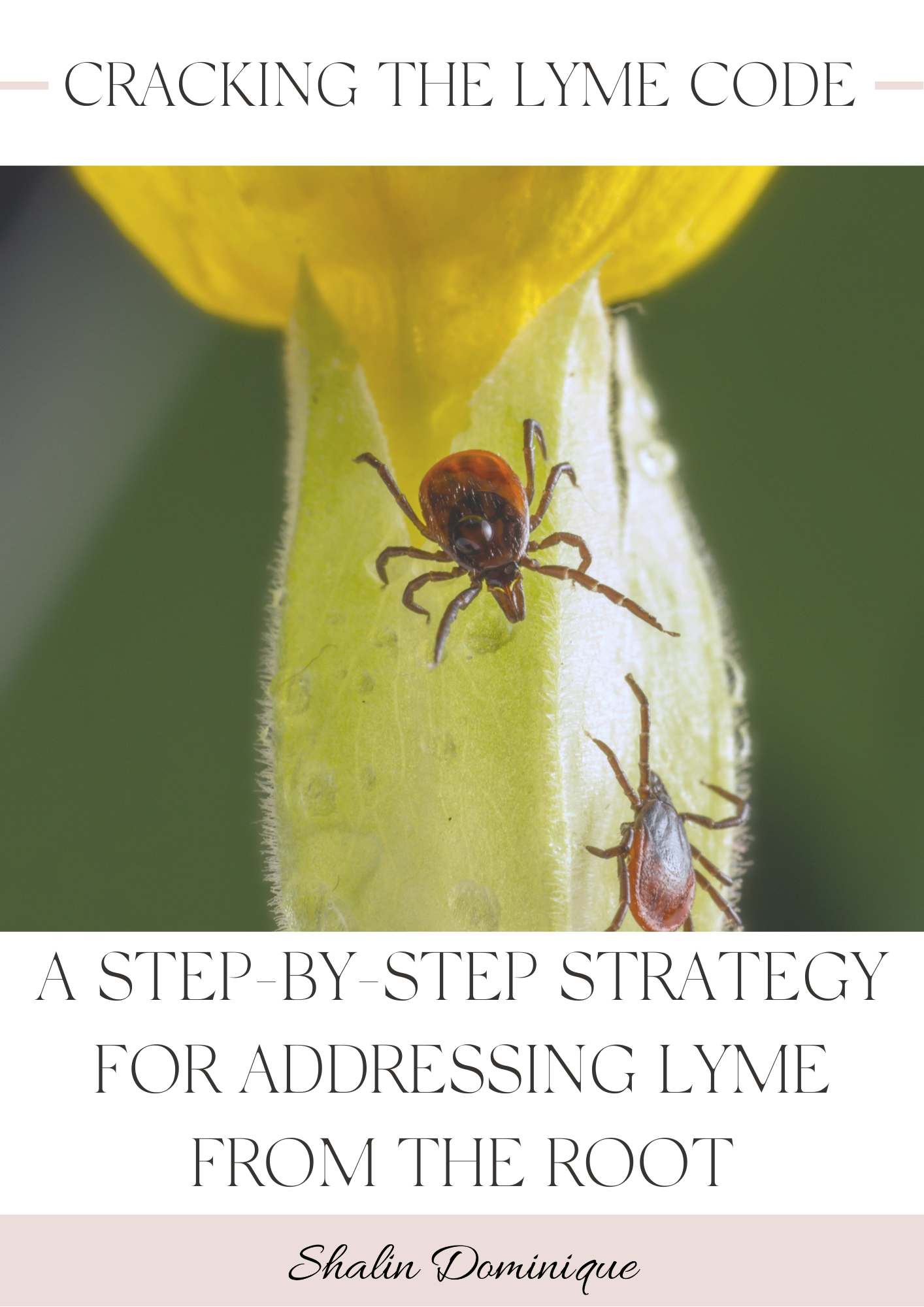 A Step-by-Step Strategy For Addressing Lyme From The Root PDF