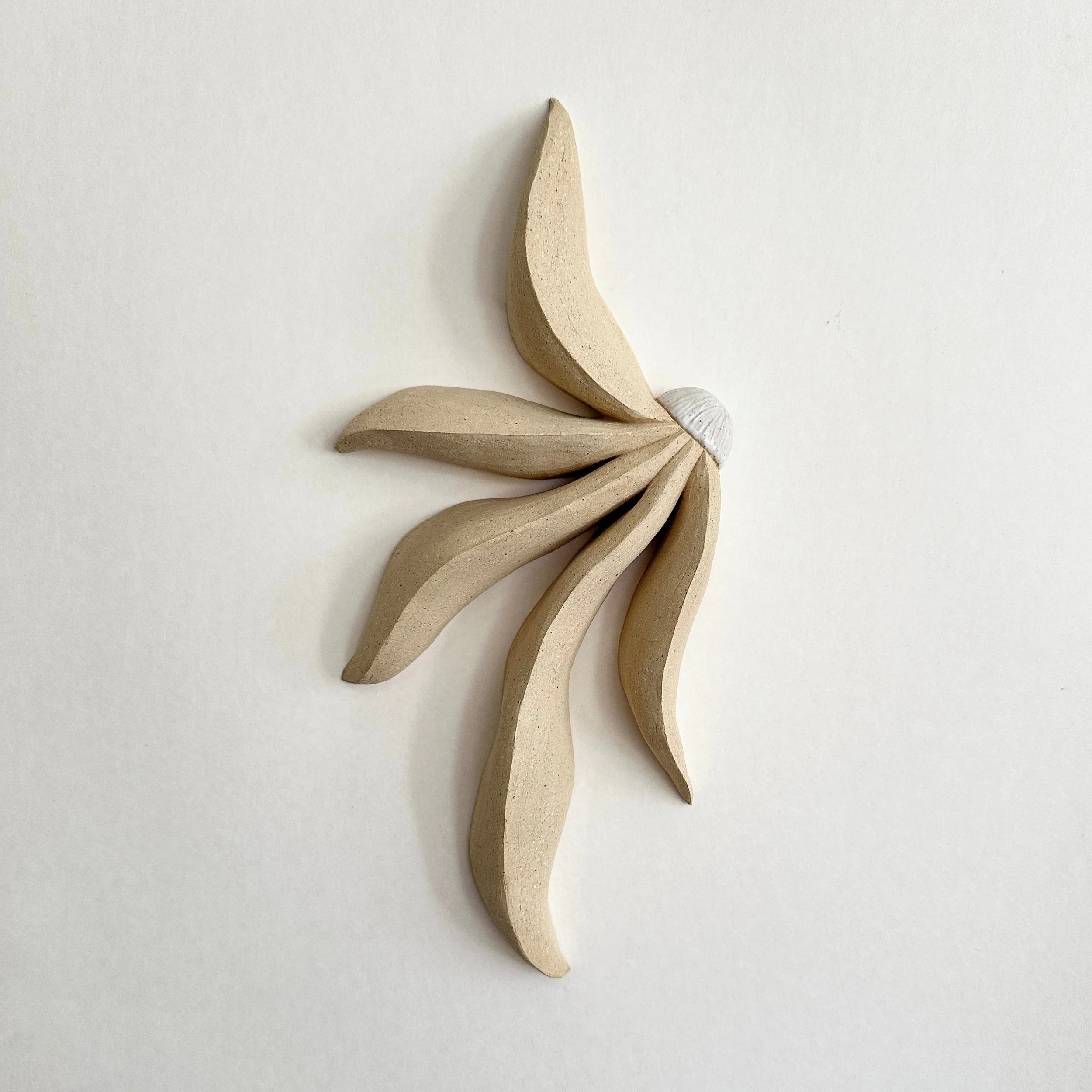 After Bloom, 15x7x2 inches, partially glazed ceramic, $800 (1).jpg