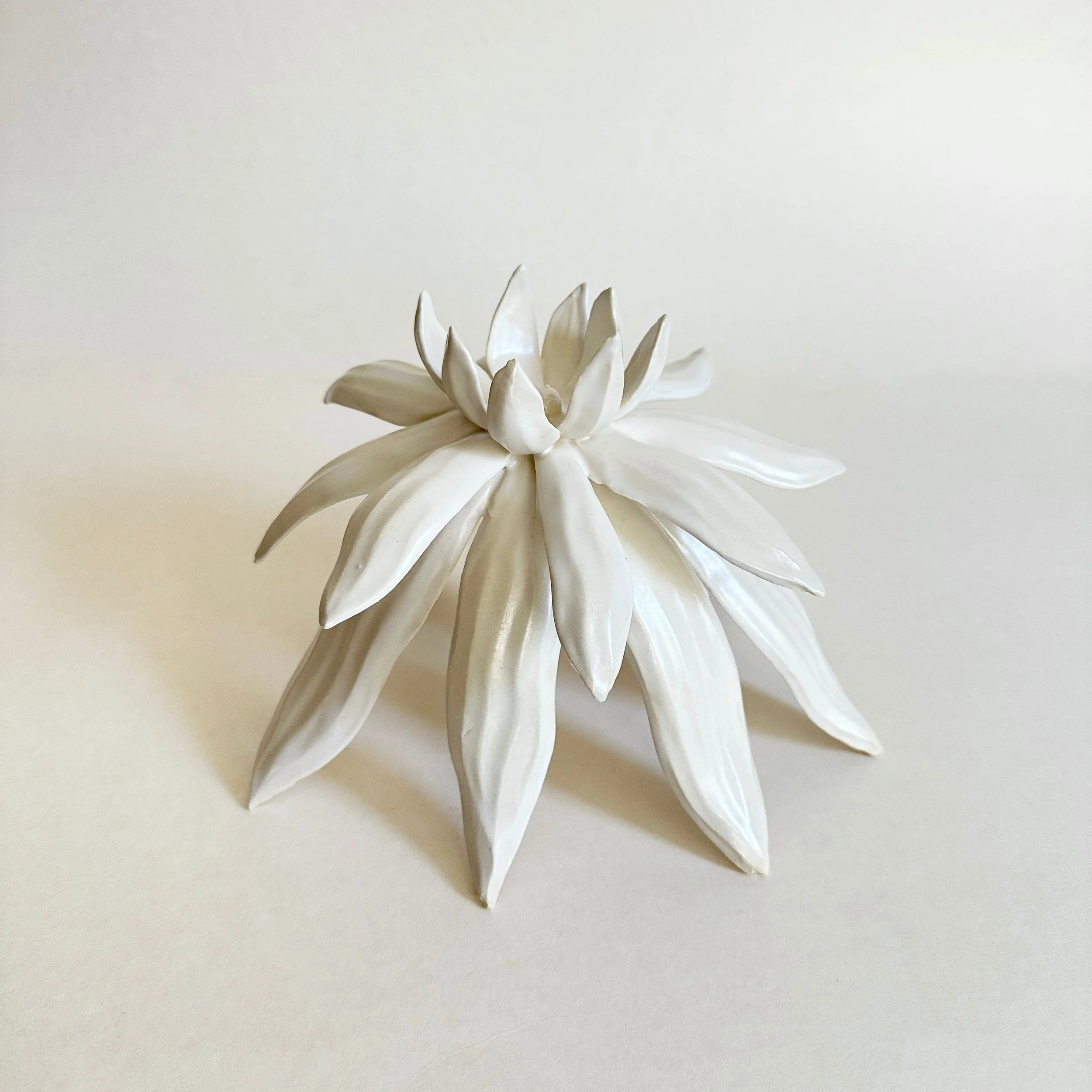 Rising Bloom, 2026