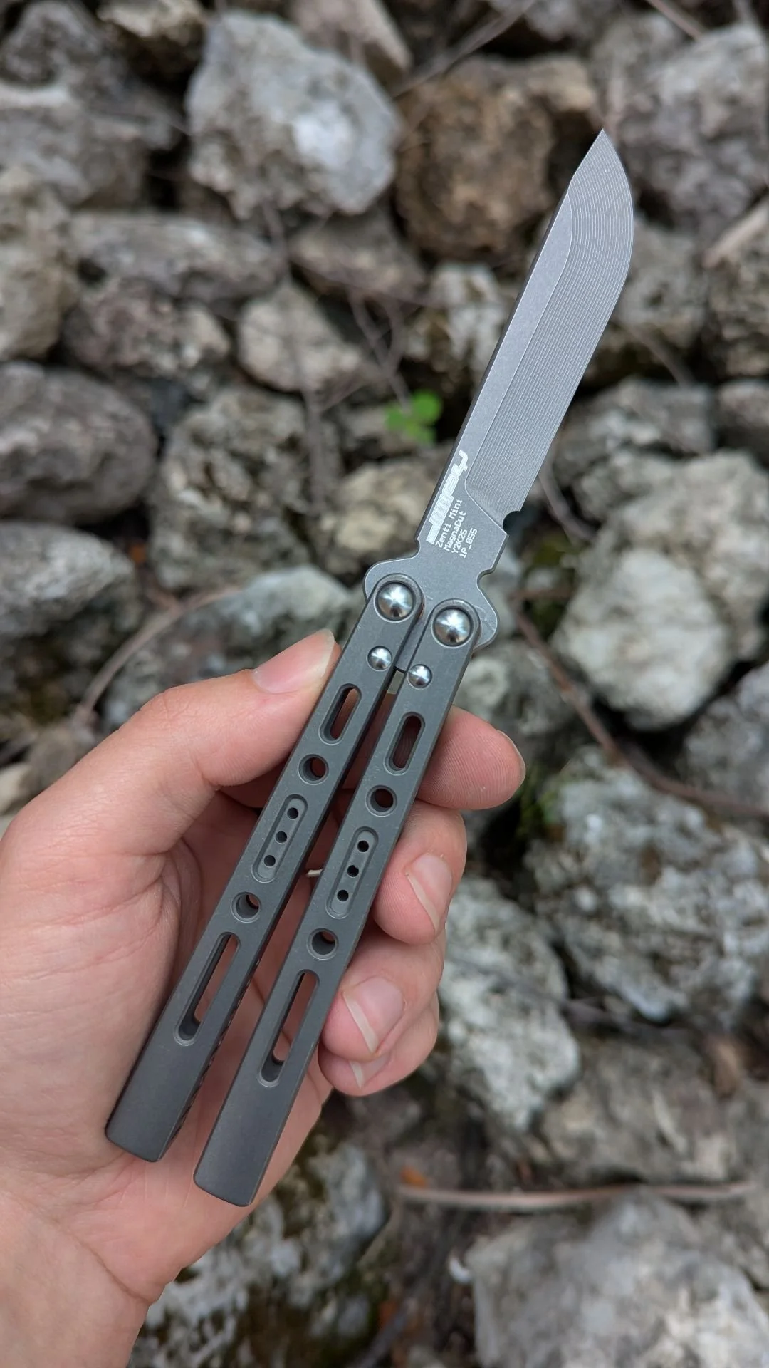 The Zentinel Mini
