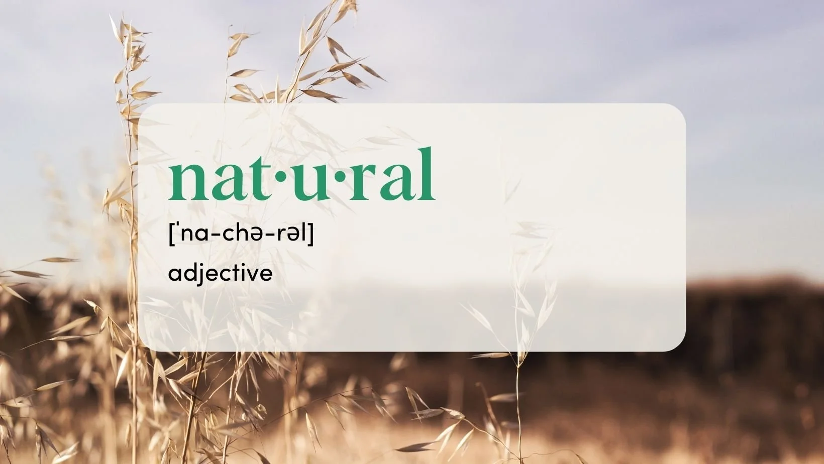 Natural definition, adjective
