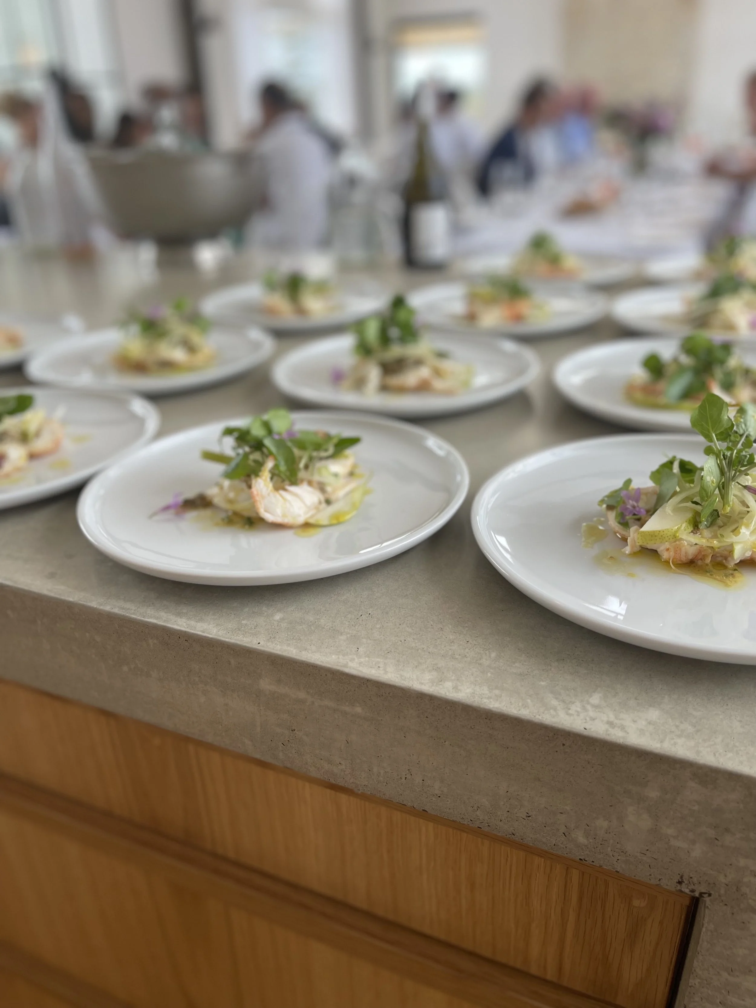 Launch of the BMW 7 series, Mittagong NSW