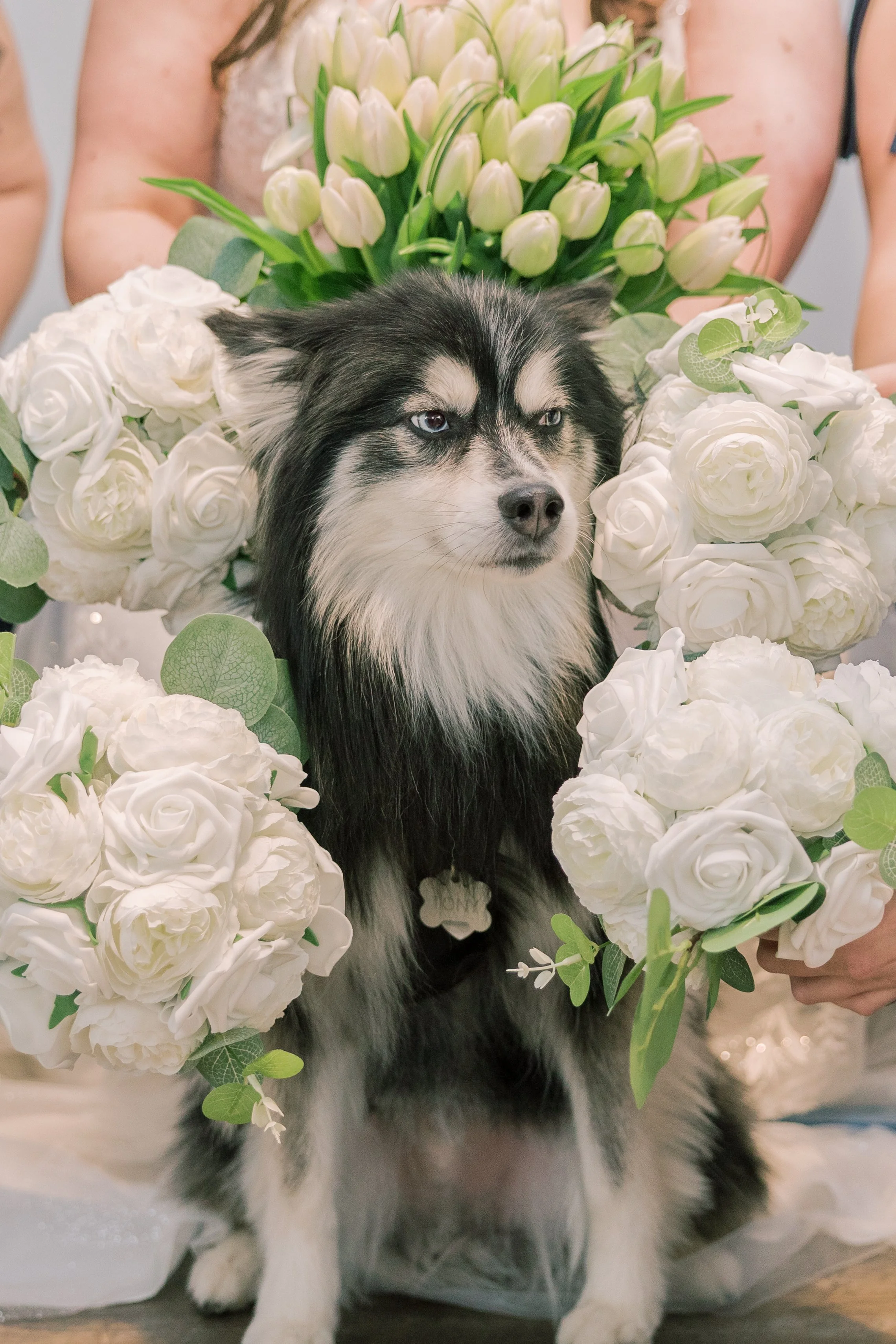 Hayek Studios-39.jpg