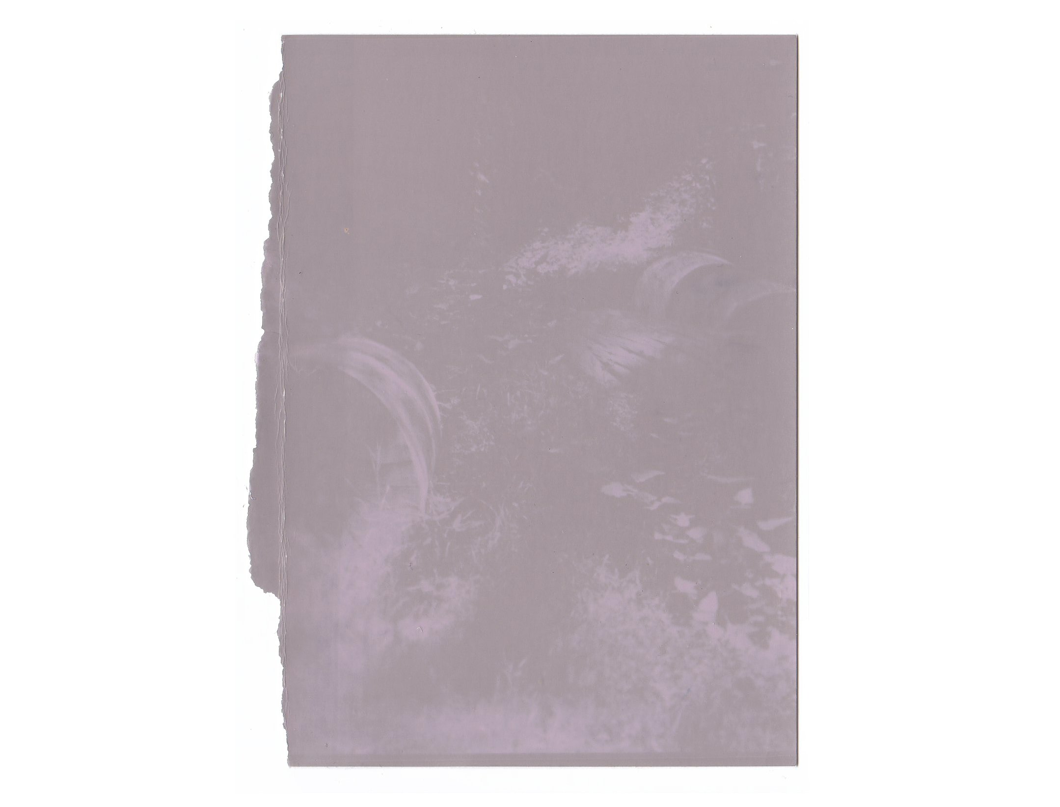 Lumen mills mound torn detail.jpg