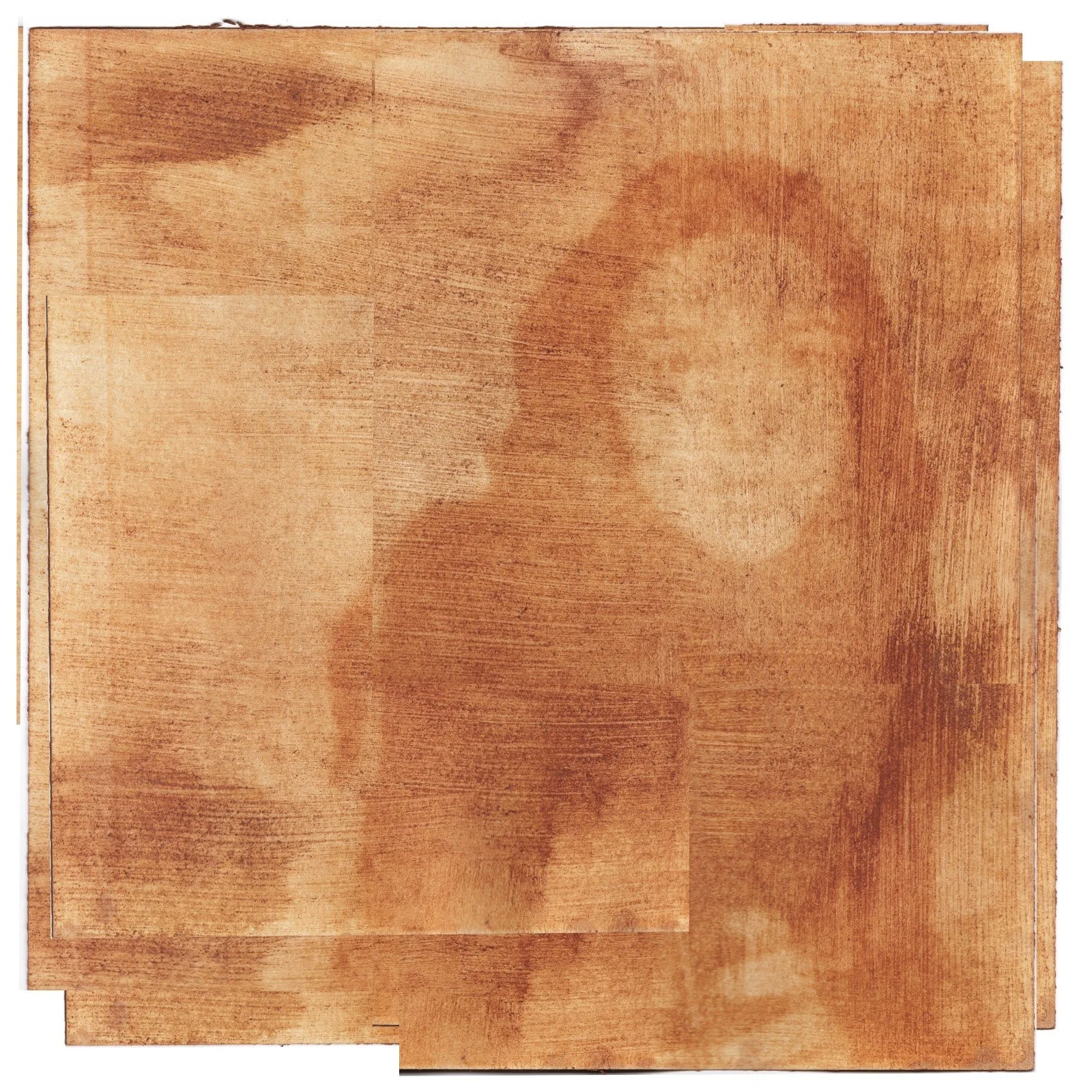 Anth0 (Full) Turmeric .jpg