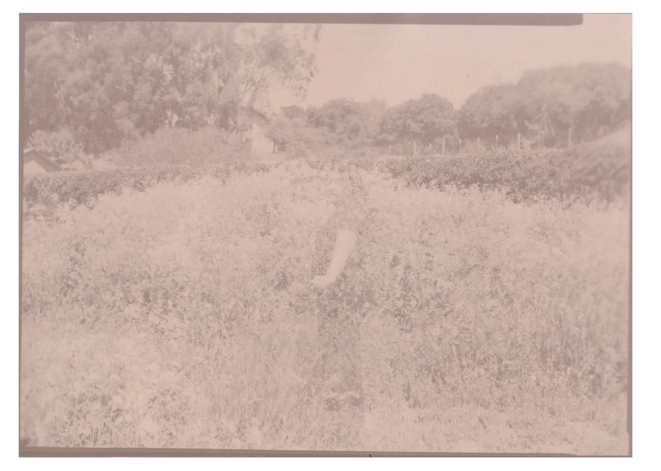 Lumen mills mound detail 1 .jpg