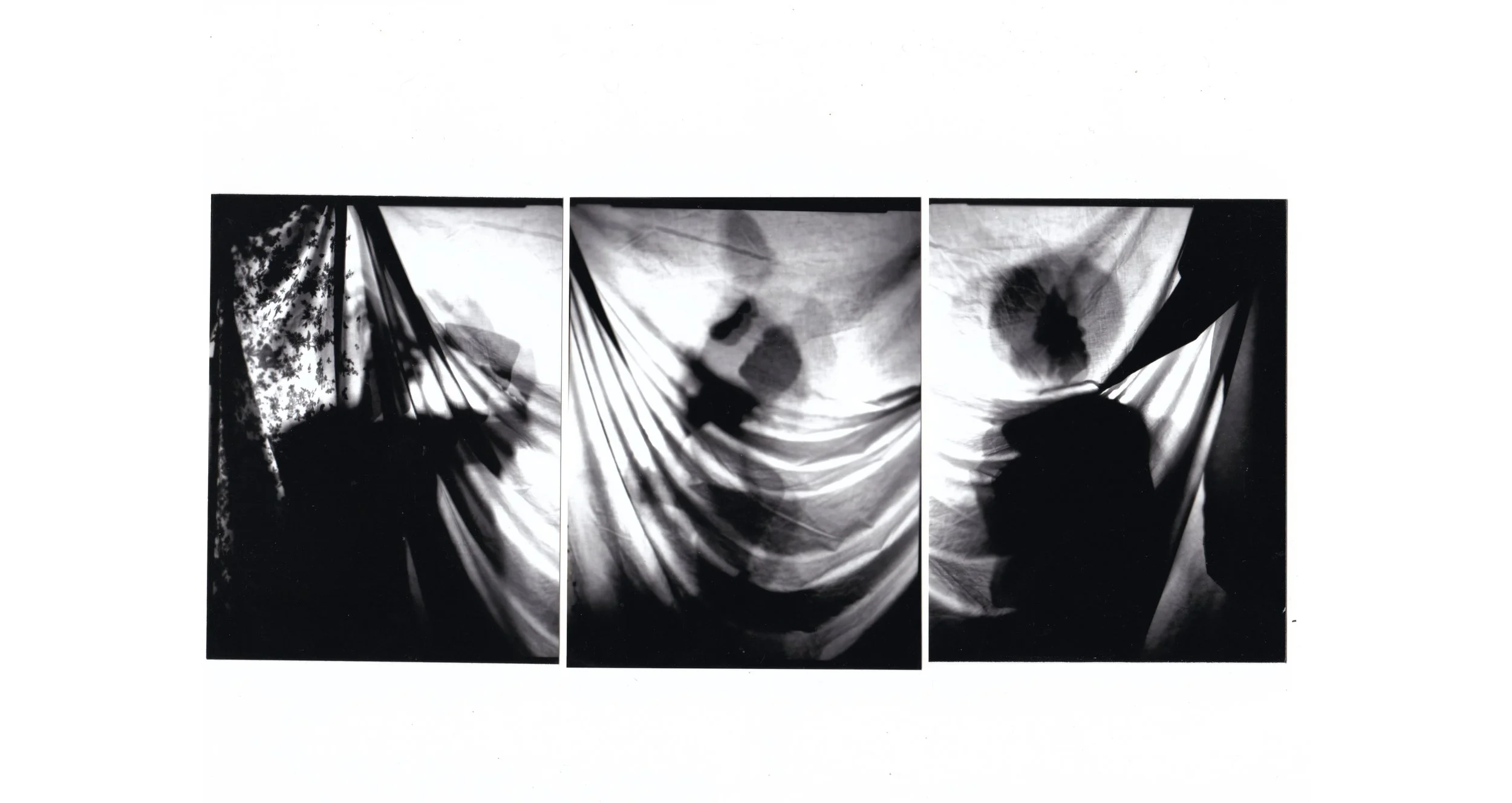 Large Format Triptic 16in by 8.5in.jpg