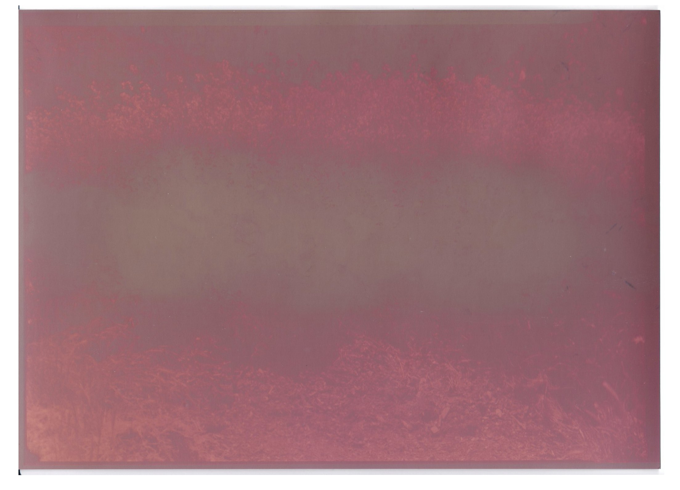 Lumen mills mound detail 3.jpg