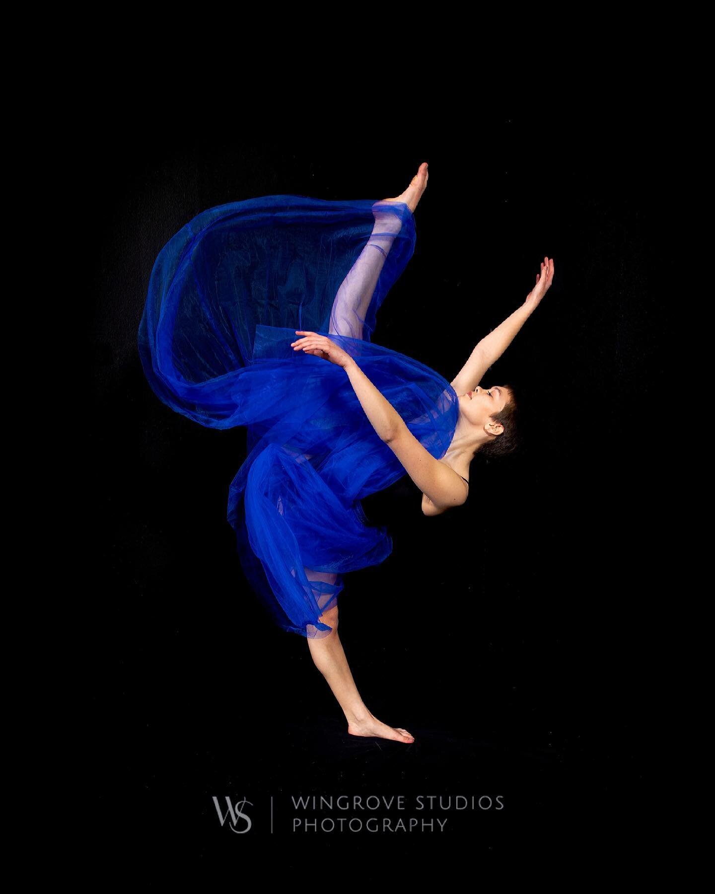 Blue Monday with @visionary_dancer Heather. 

@wingrove.studios.photography 

#dancephotography #balletphotography #danceportrait #sandiegophotographer