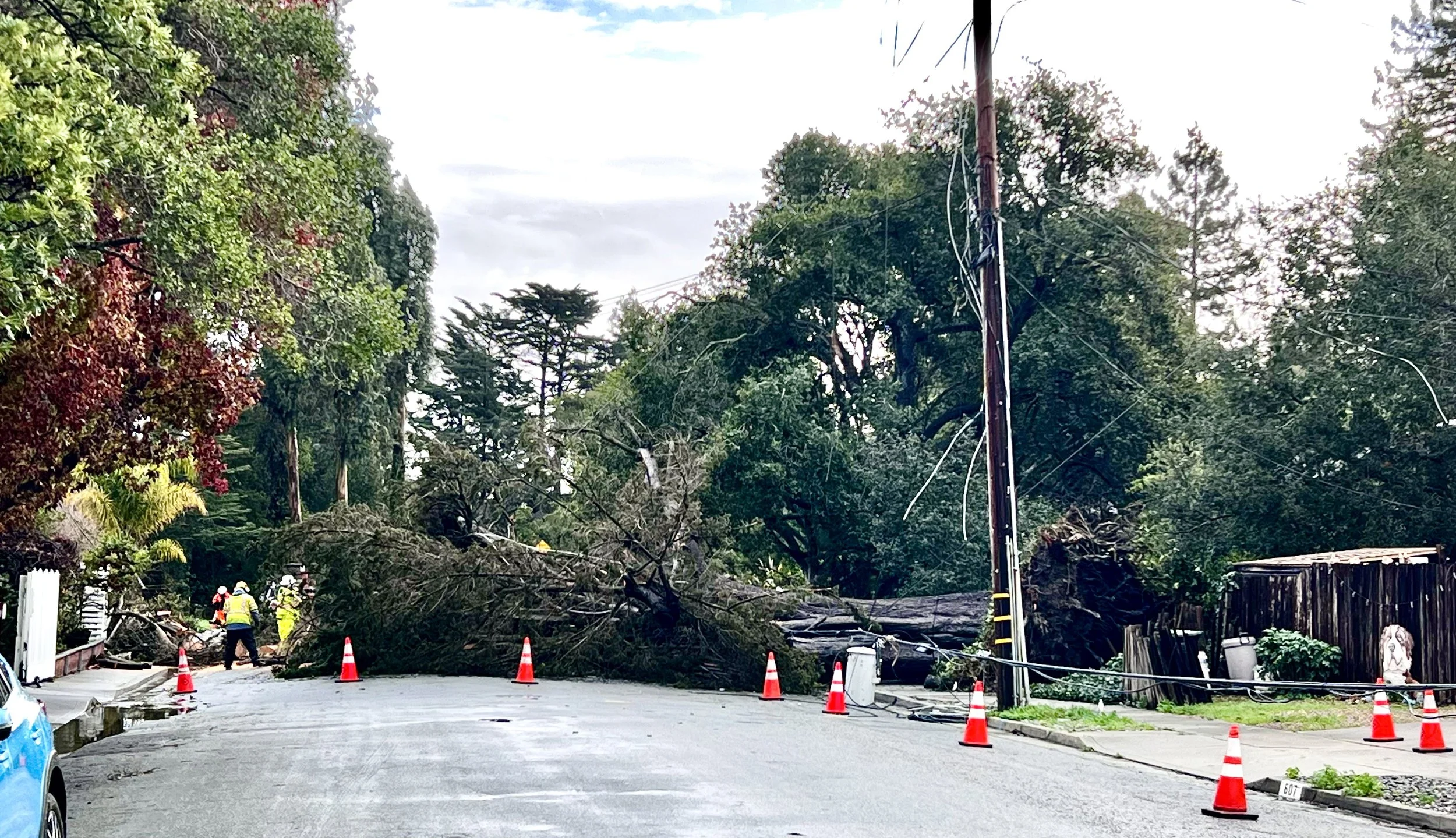 Tree down on Highland Avenue, resulting in two-day power outage due to four damaged poles. PG&E was quick to repair and return power to close to 200 affected houses.
