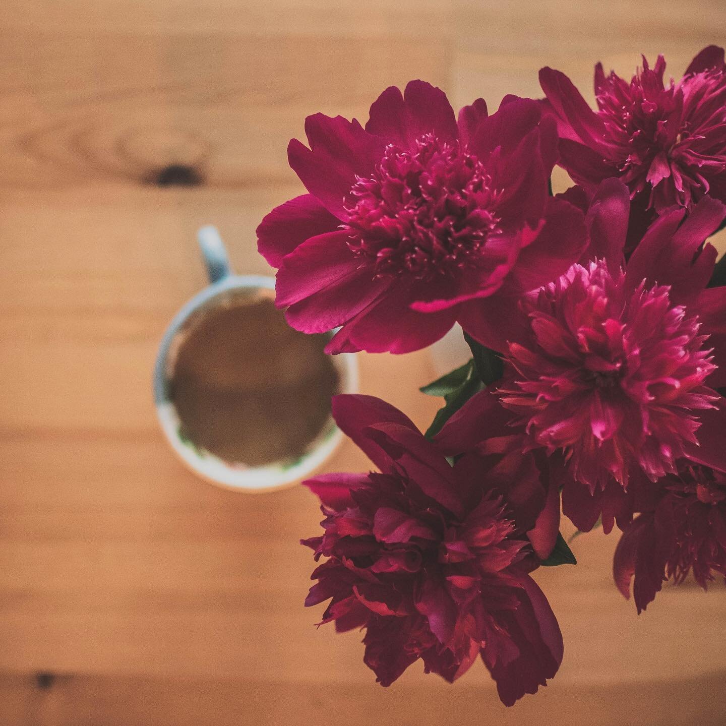 Drink a lot of coffee, pretend to know what I&rsquo;m doing. .
.
.
.
#peony #coffee #coffee_inst #isitfridayyet #nottuesday