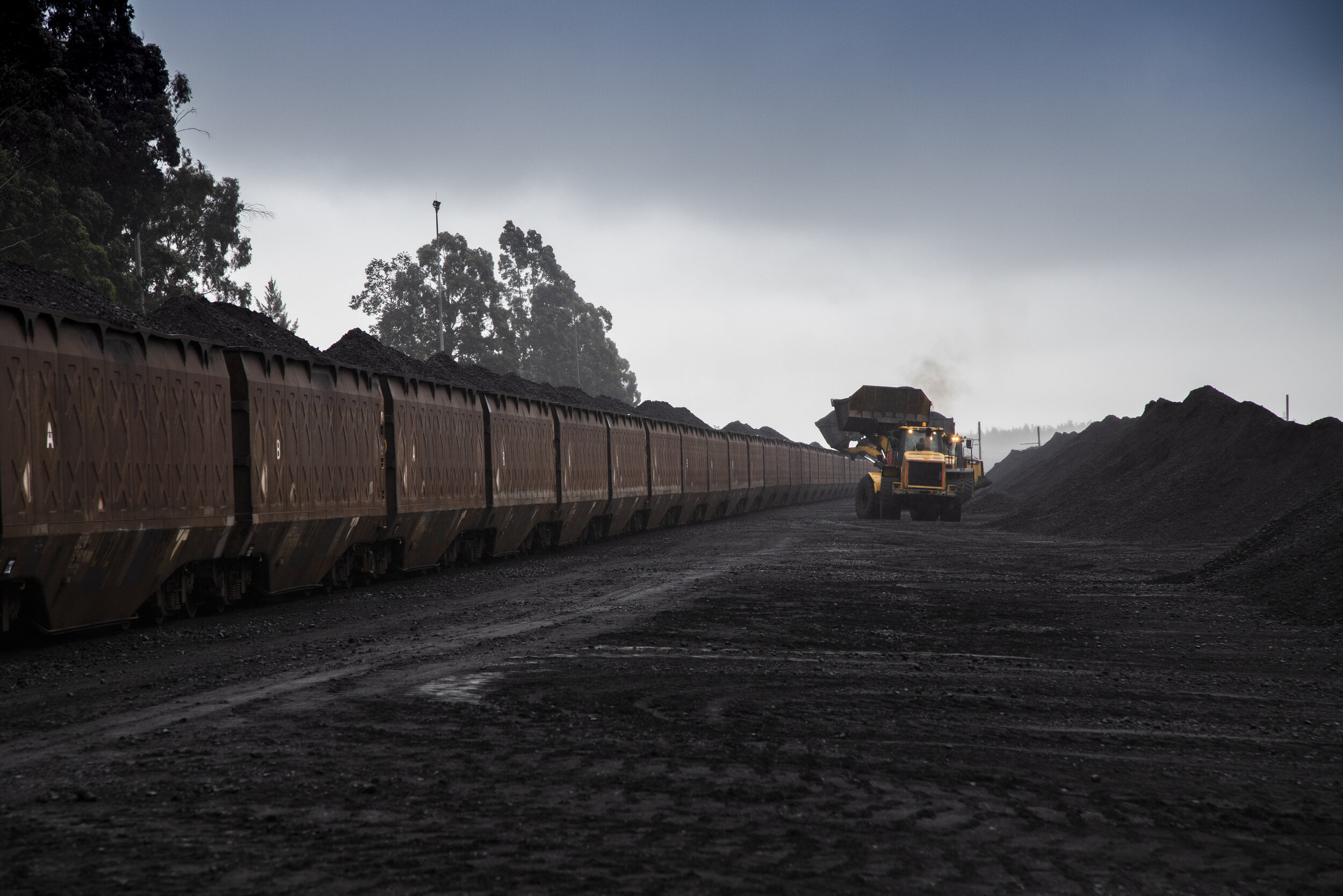 Kangra, January 2019_DuaneDawsProduction_MG_3409.jpg