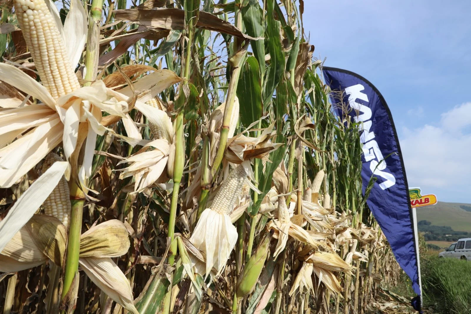 WhatsApp Image 2026-04-15 at 15.14.46.jpeg