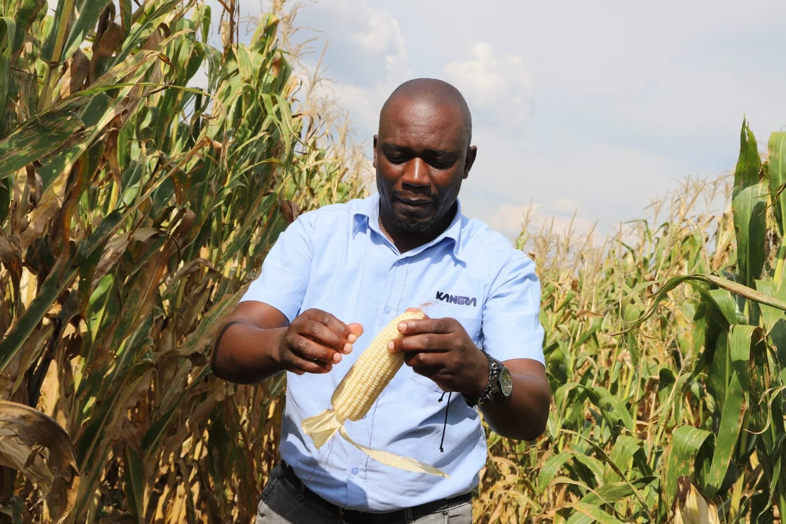 Local farmers supported through Kangra's agricultural initiative 