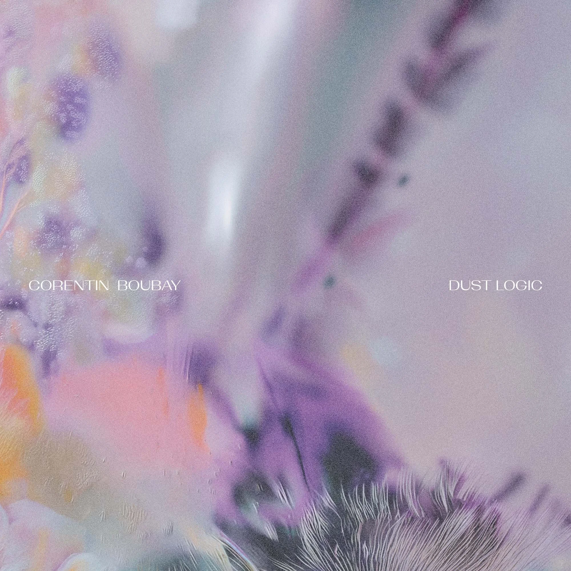 Corentin Boubay - Signal