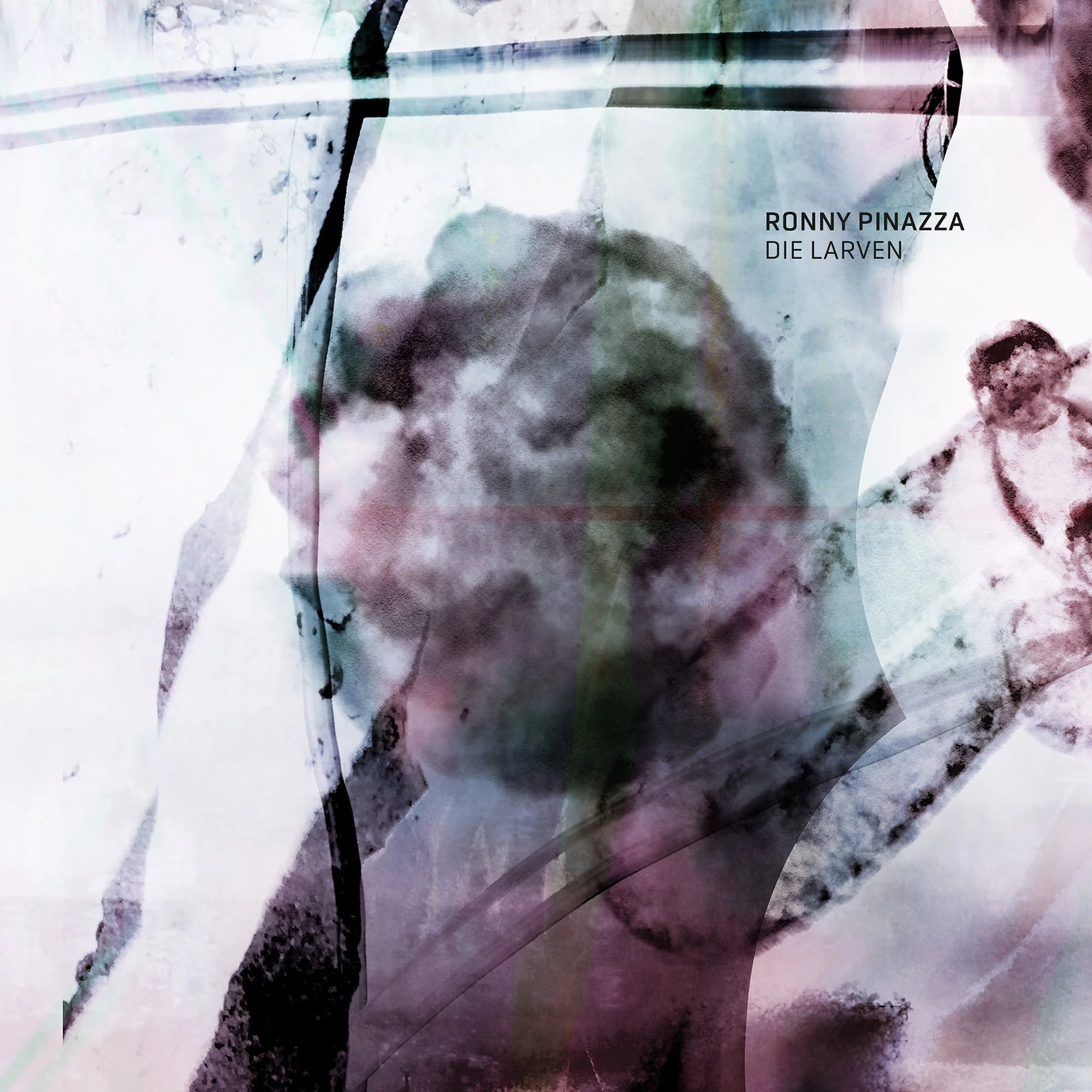 Ronny PInazza - Die Larven