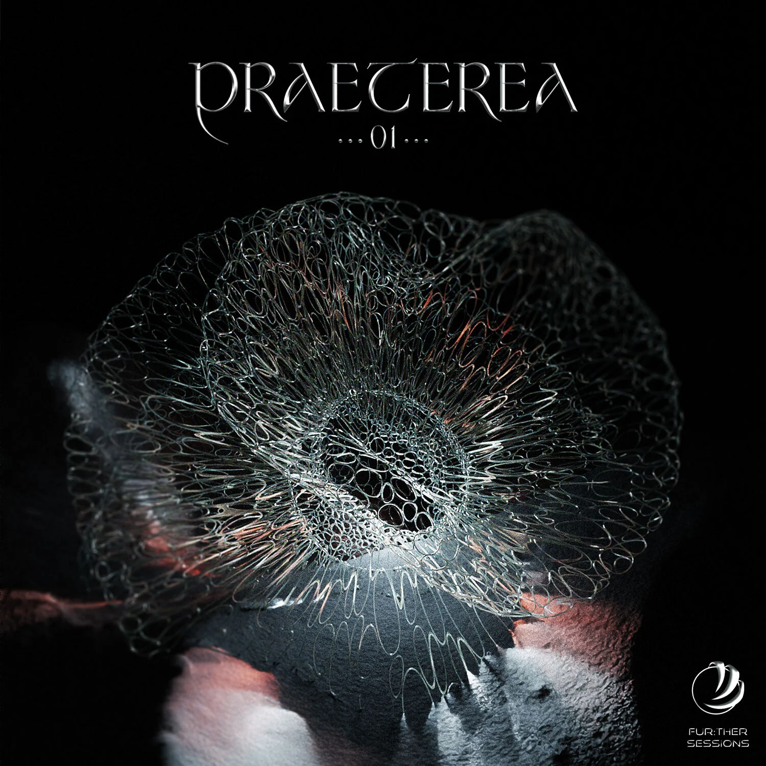 Various Artists - Praeterea 01