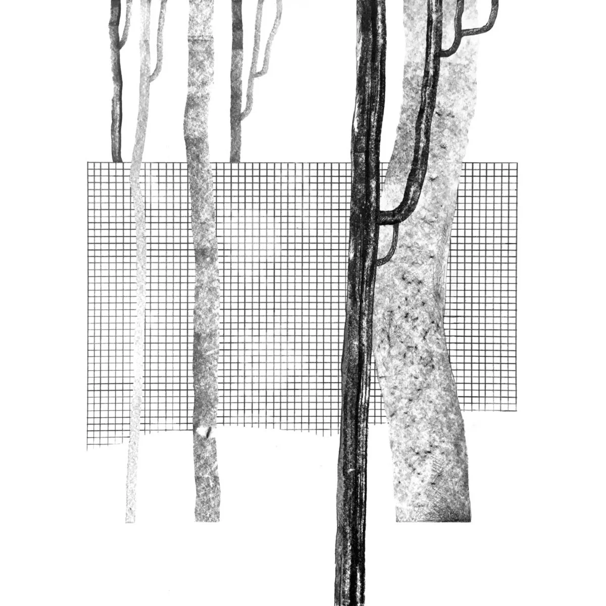 Various - Systema Naturae I [012]