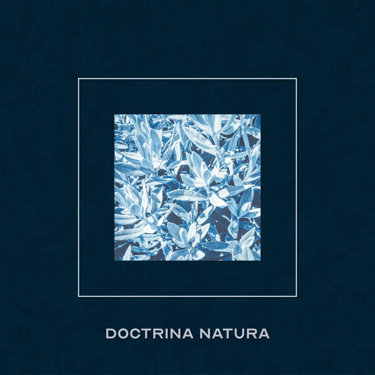 Doctrina Natura - Wicca [Crescent London]