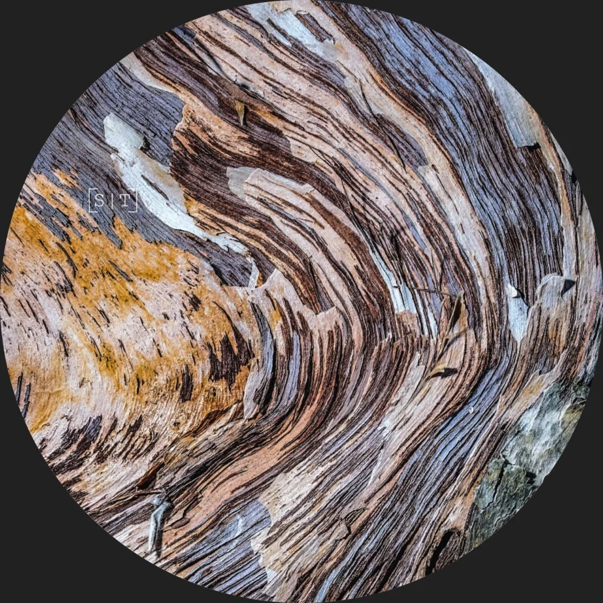 Nils Edte - Wooden Tales [Secuencias Temporales]