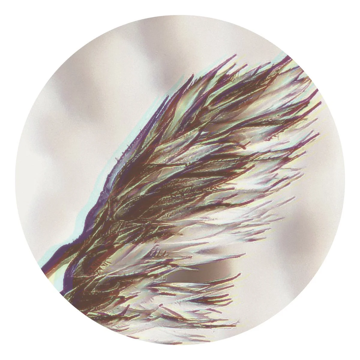 MTRL, Joachim Spieth &amp; Cauê, Reggy Van Oers, Svarog - XV | 1 [Affin]