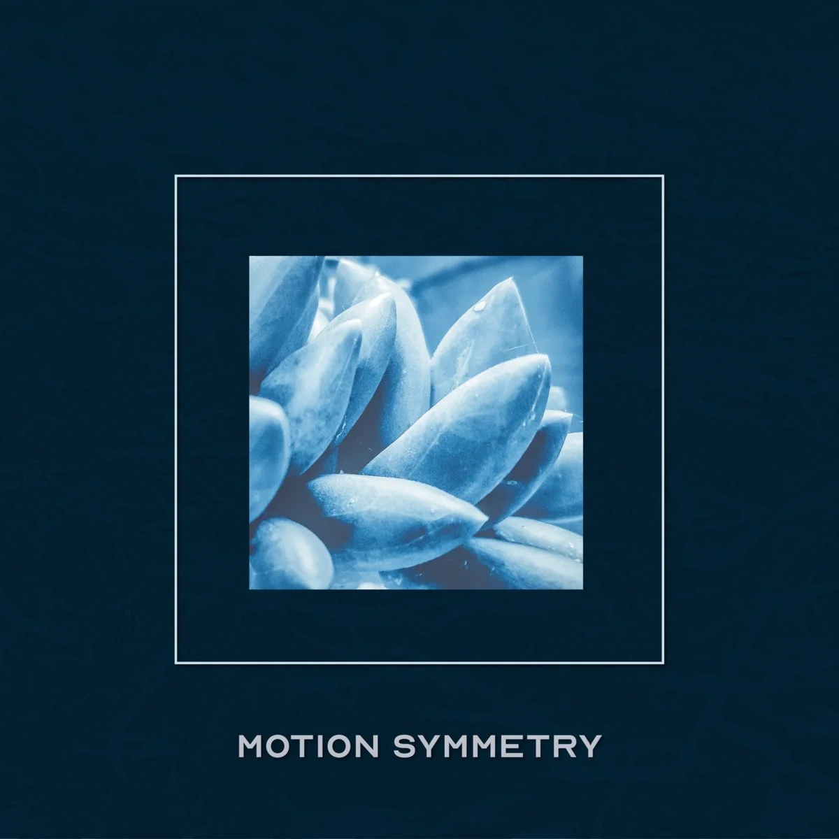 Motion Symmetry - Strobe Bloom [Crescent London]
