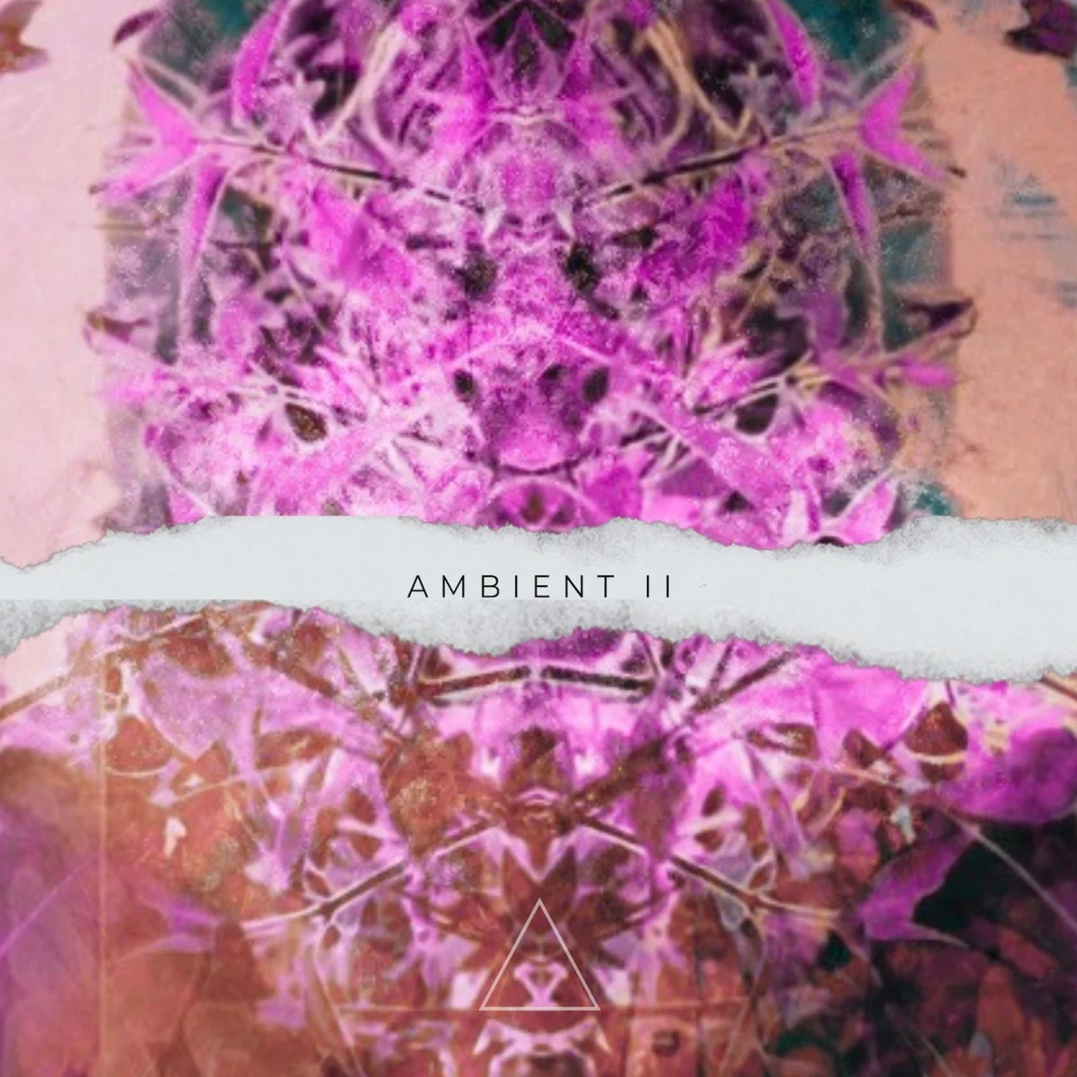 V/A - Ambient II [Atlantea Records]
