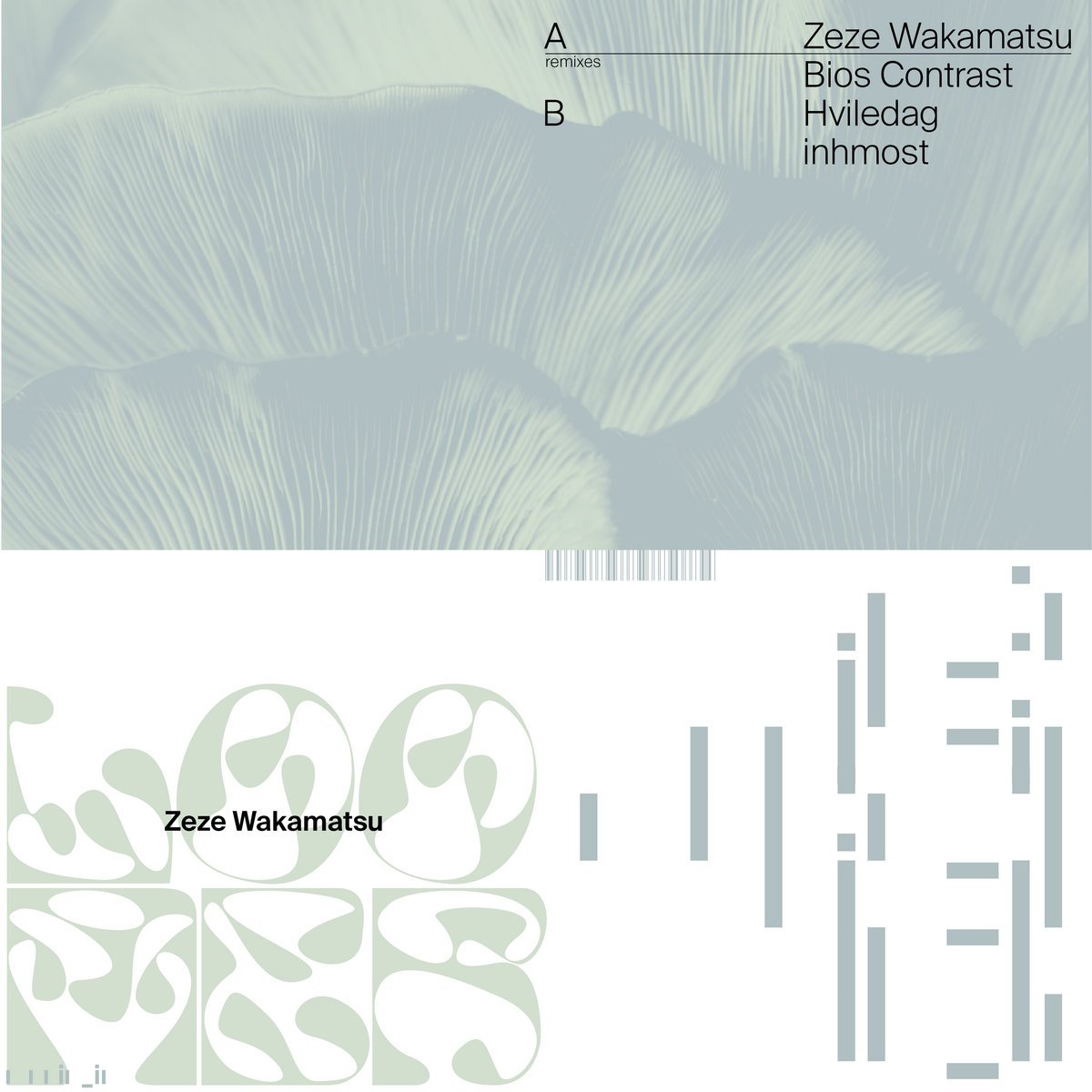 Zeze Wakamatsu - Loomer &amp; The Remixes [music_is]