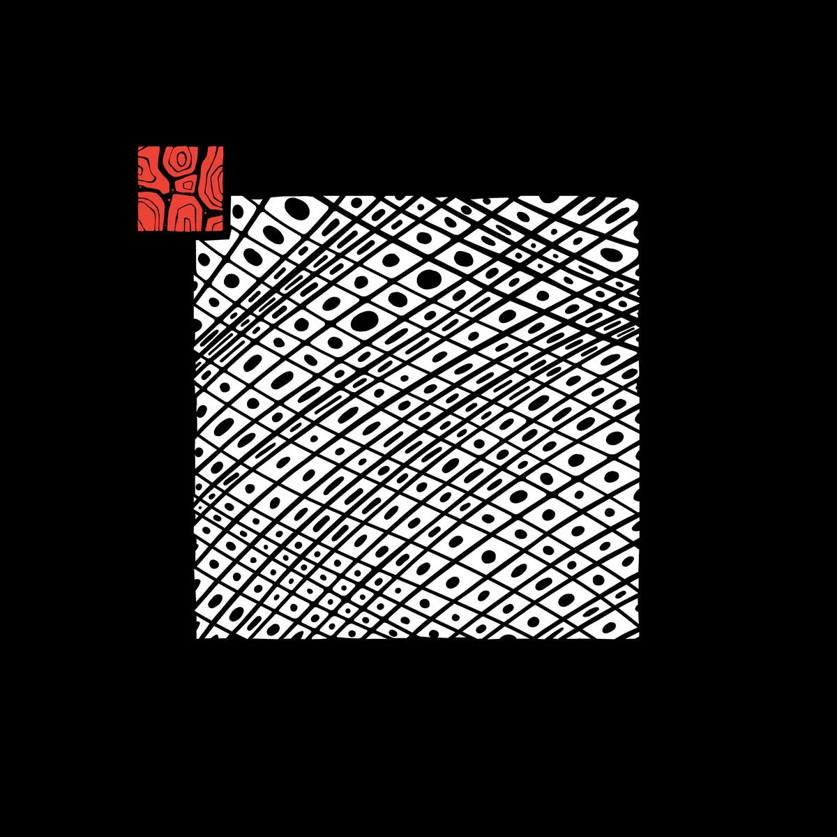 The Vision Reels - Aconites [Huinali Recordings]