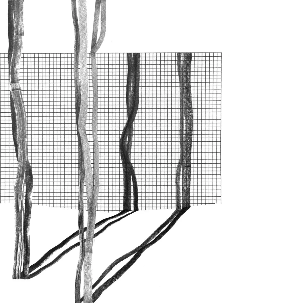 V/A - Systema Naturae II [012]