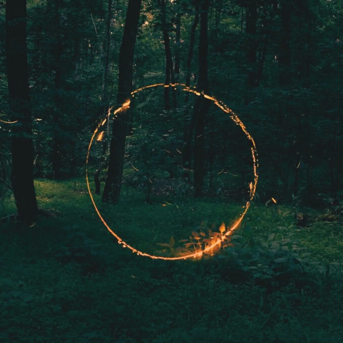 V/A - Sequence II [Dosis Records]