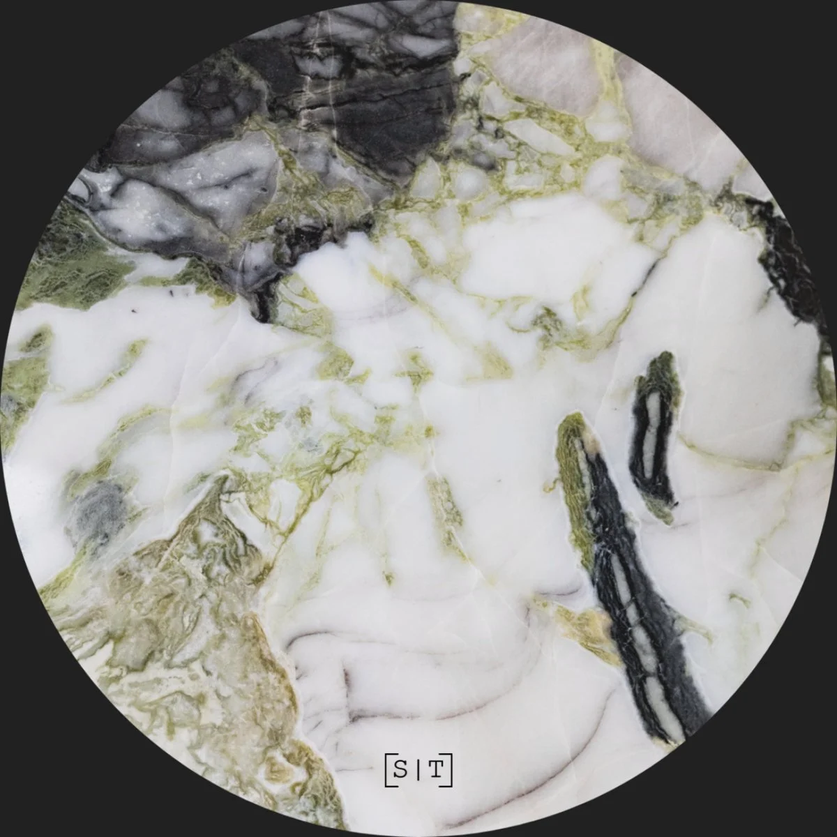 Laima Adelaide - Forest Depth [Secuencias Temporales]
