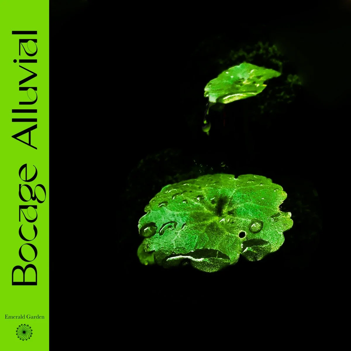 V/A - Bocage Alluvial [Emerald Garden]