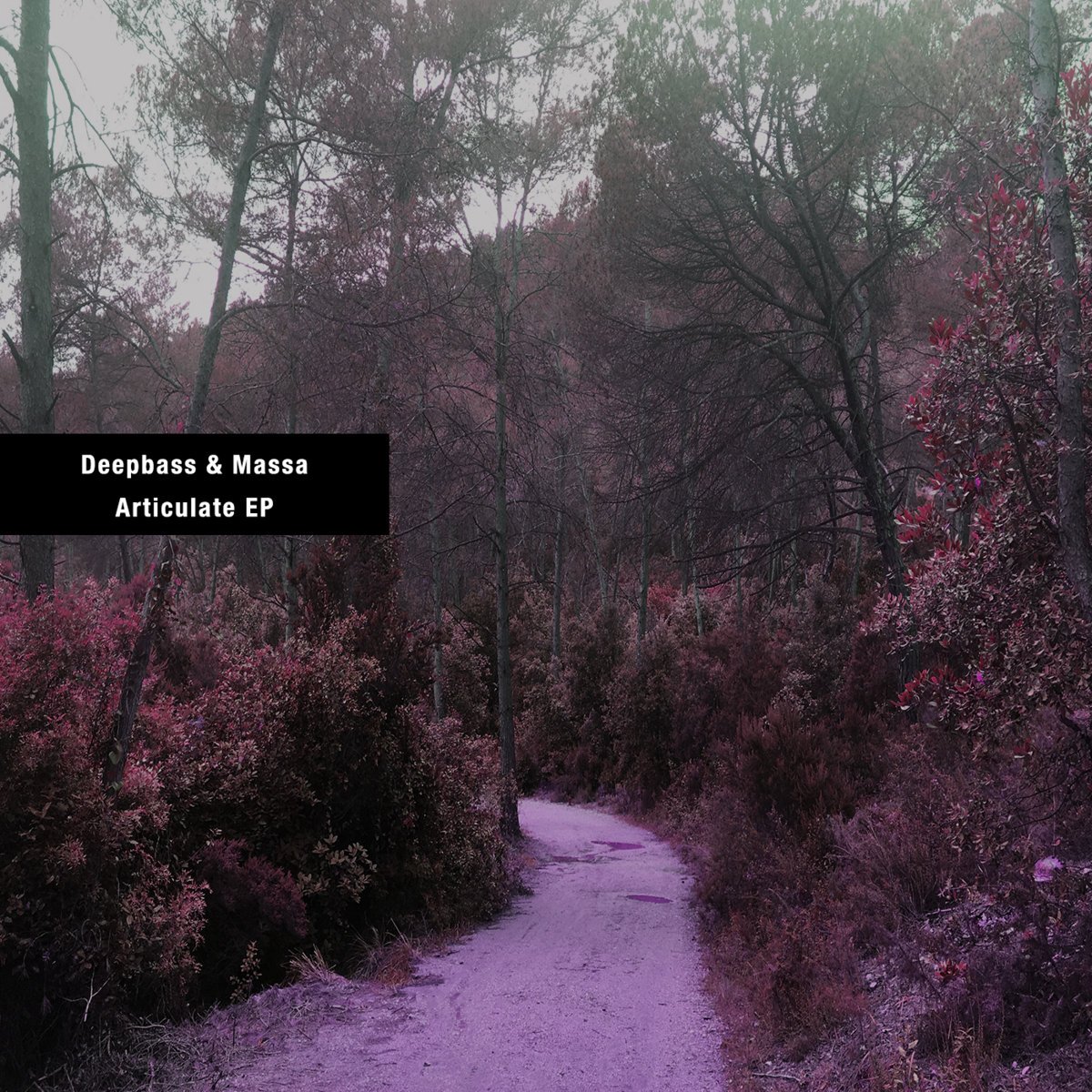 Deepbass &amp; Massa - Articulate EP [hidden traffic]