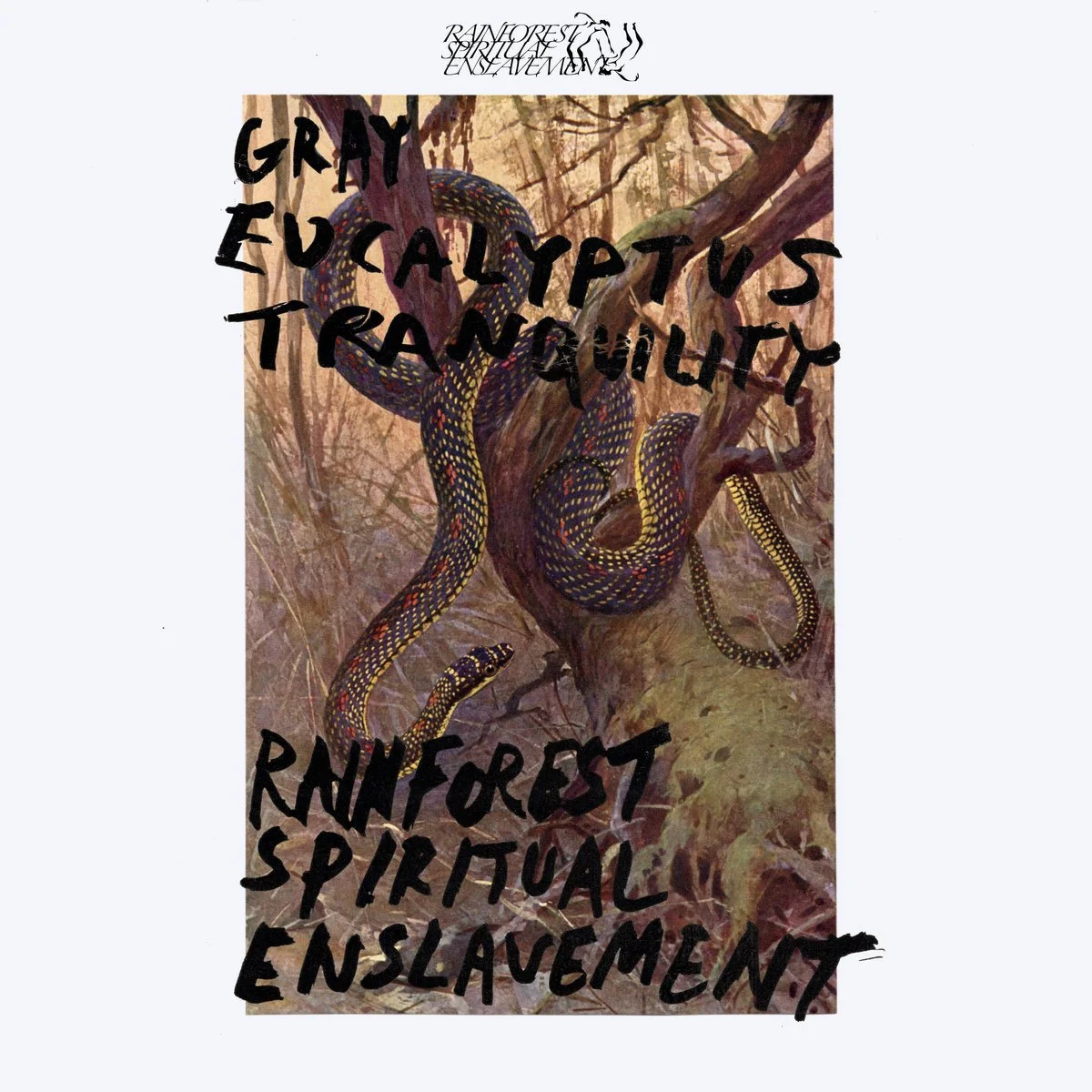 Rainforest Spiritual Enslavement</a> - Gray Eucalyptus Tranquility [Hospital Productions]
