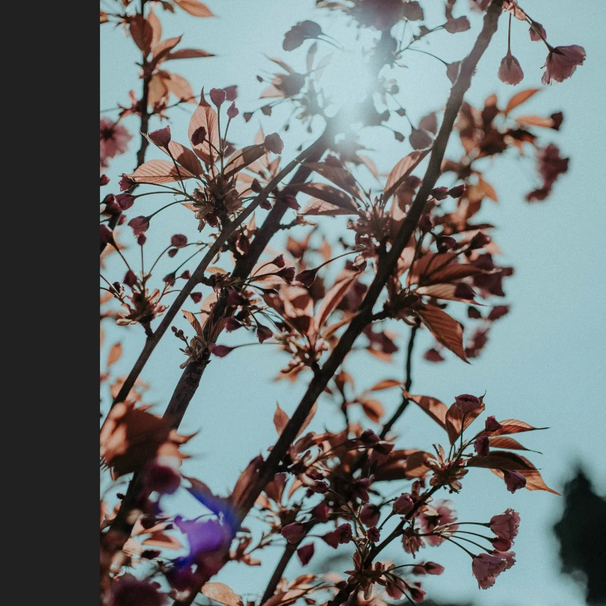 Eafhm &amp; TVS - Inmarcesible Desenlace [Not On Label]